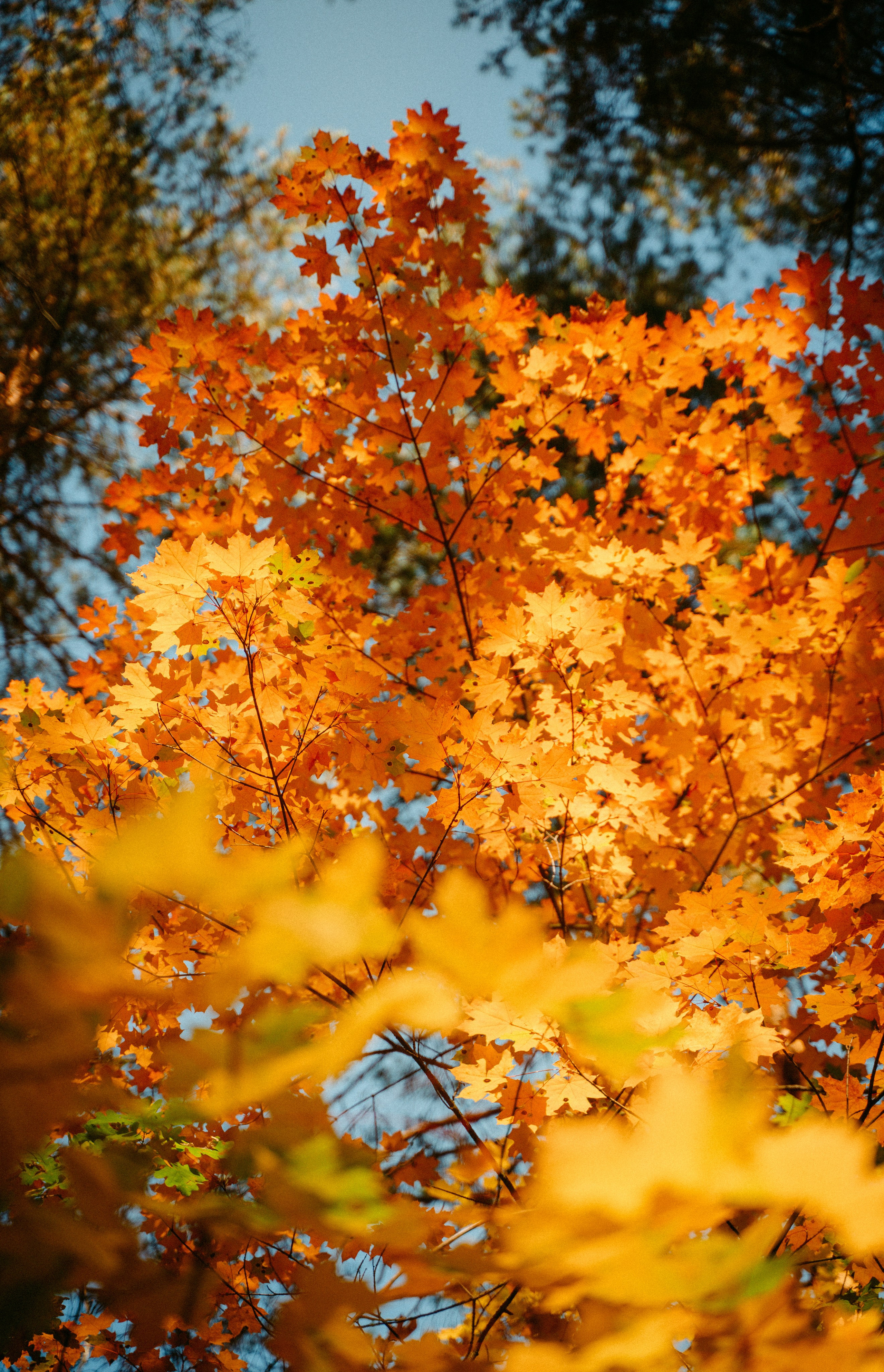 Good Friends Trip / команда локальных путешествий. Саша Копылов, фотограф в Казани