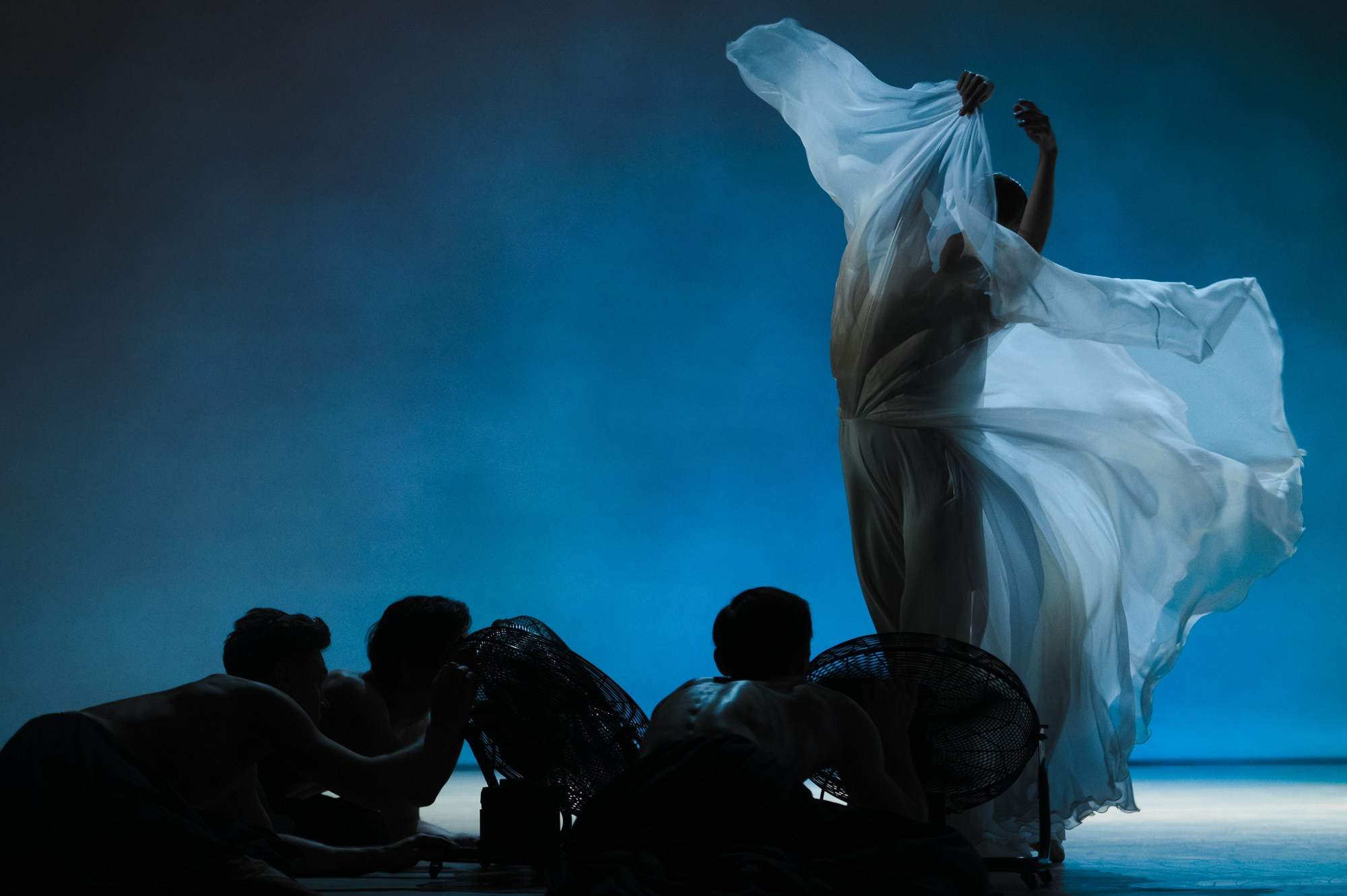 Балет Москва: Транскрипция цвета. Елена Дружинина. Спортивный и репортажный фотограф