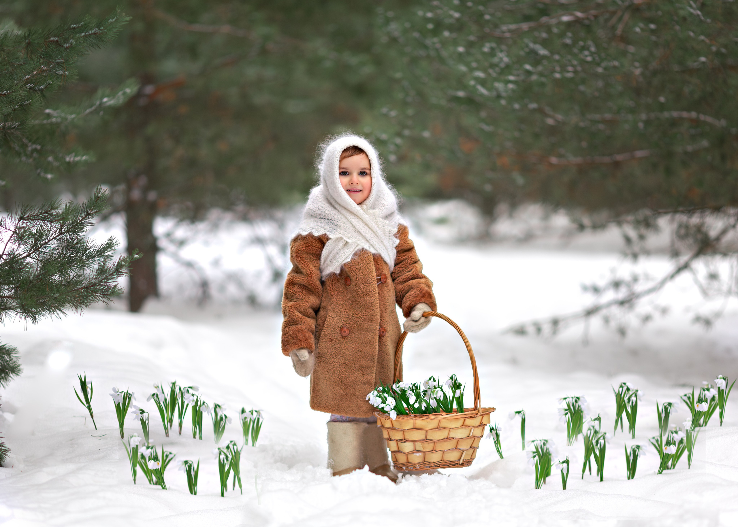 Девочка собирает подснежники в лесу