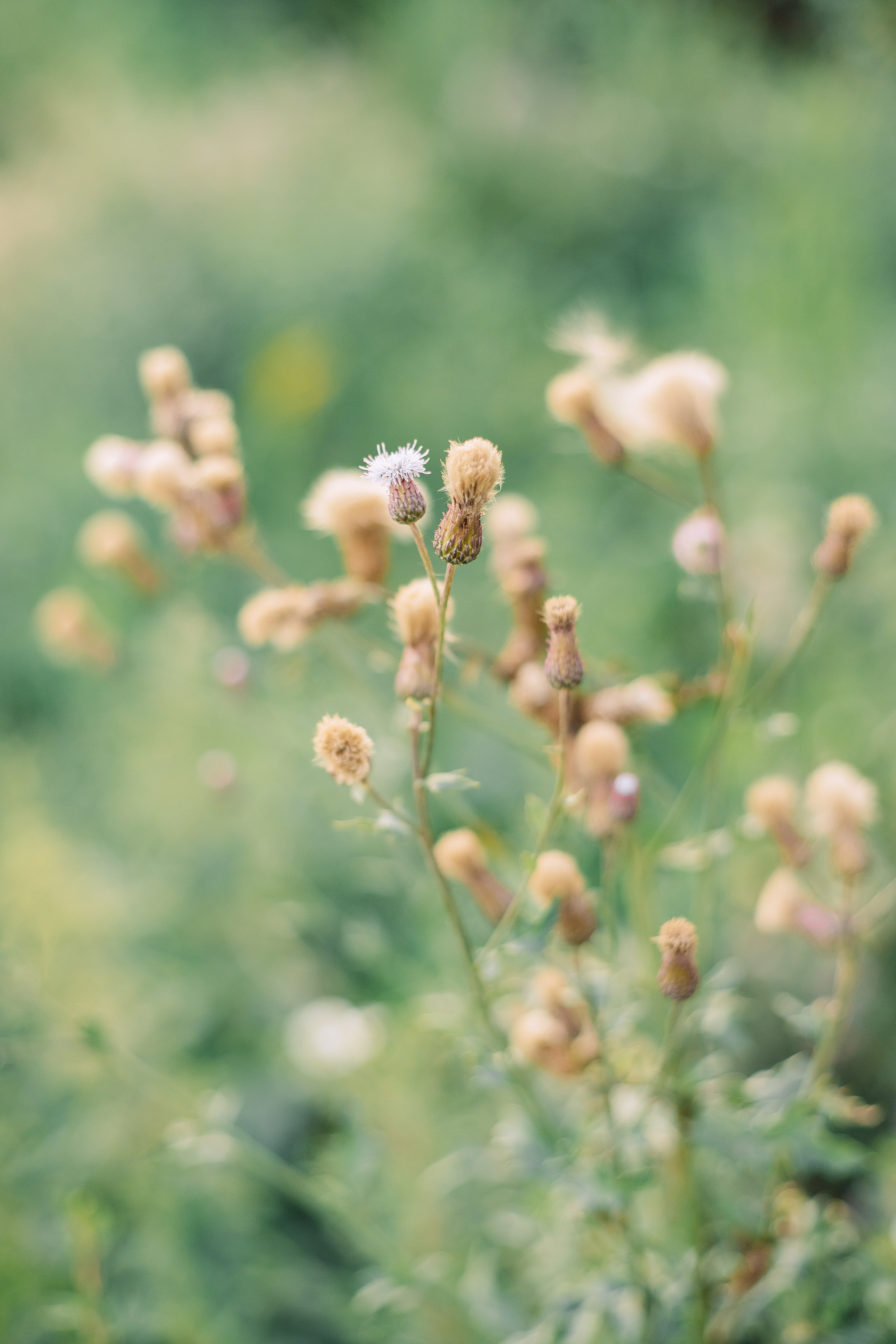 Женская фотосессия на пляже в Санкт-Петербурге. Фотограф в Санкт-Петербурге, Анна Скворцова