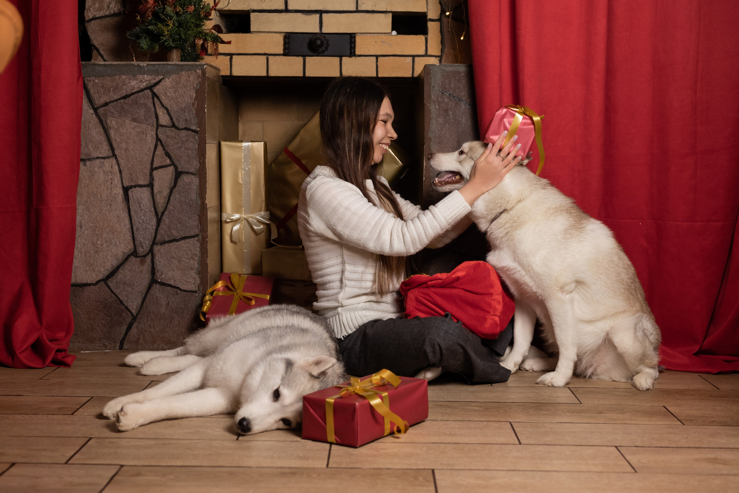 Фотопроект с хаски в частном доме. Фотограф в городе Салават