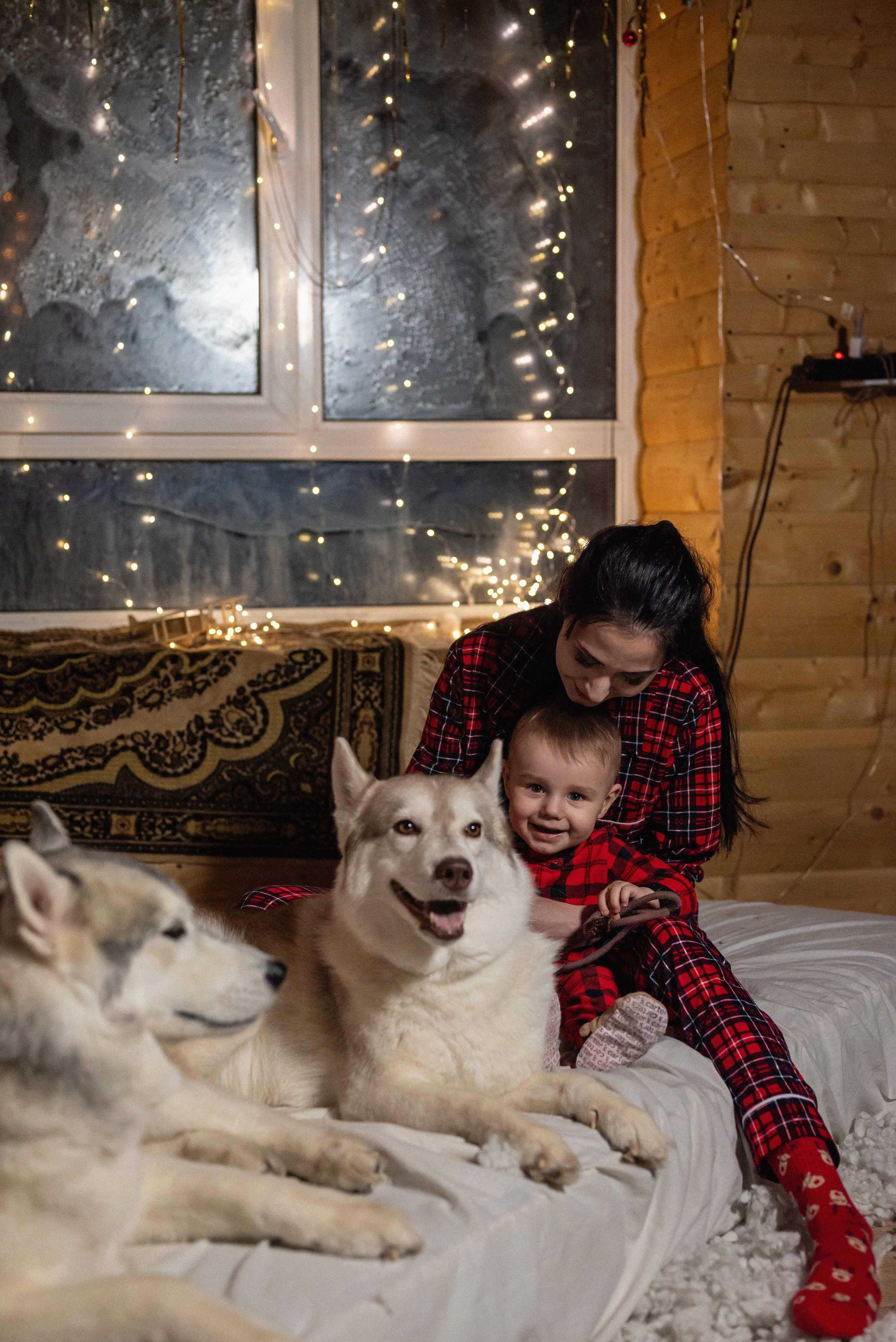 Фотопроект с хаски 2024 г. Фотограф в городе Салават