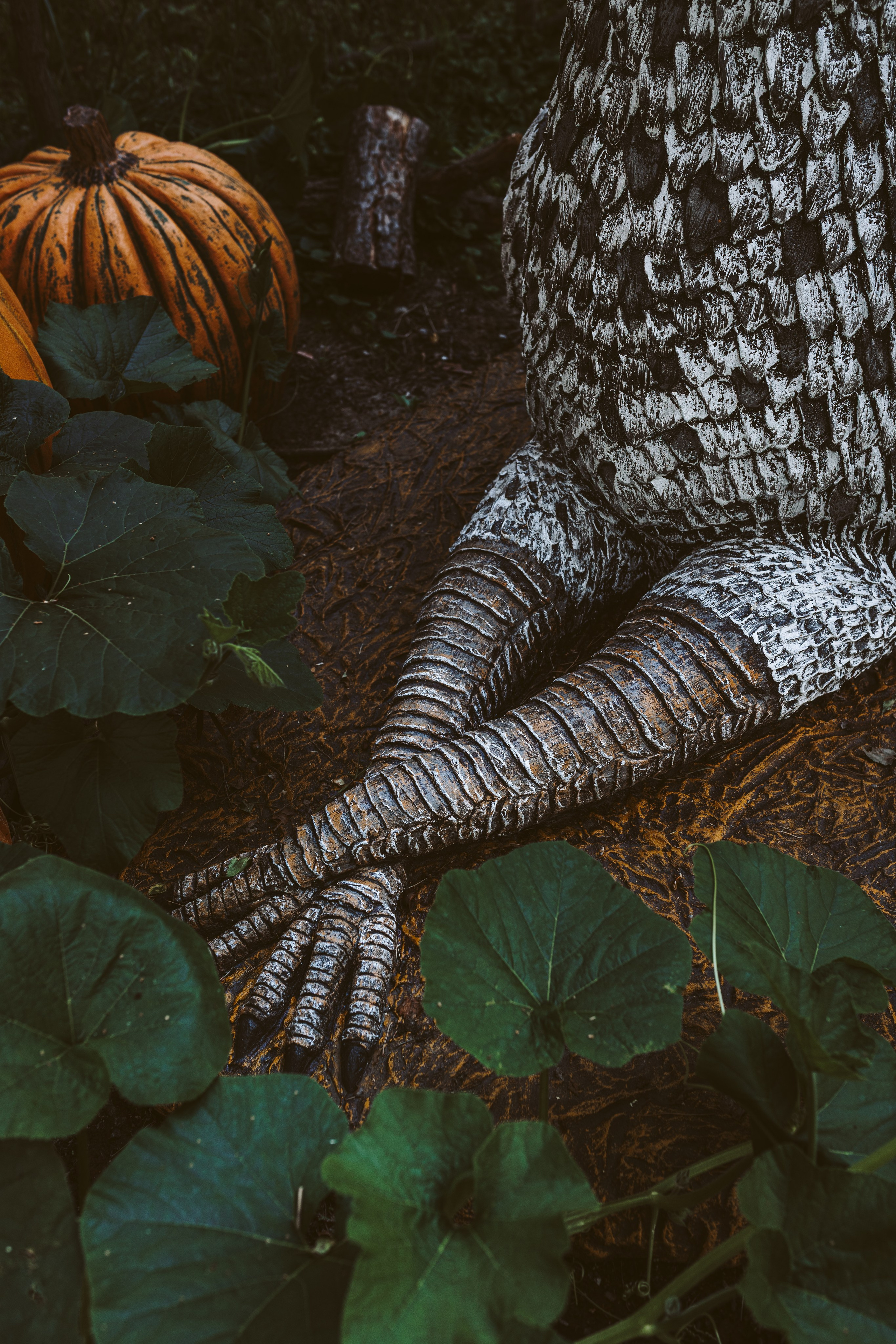 Хижина Хагрида. Свадебный фотограф Курзина Ольга | Москва