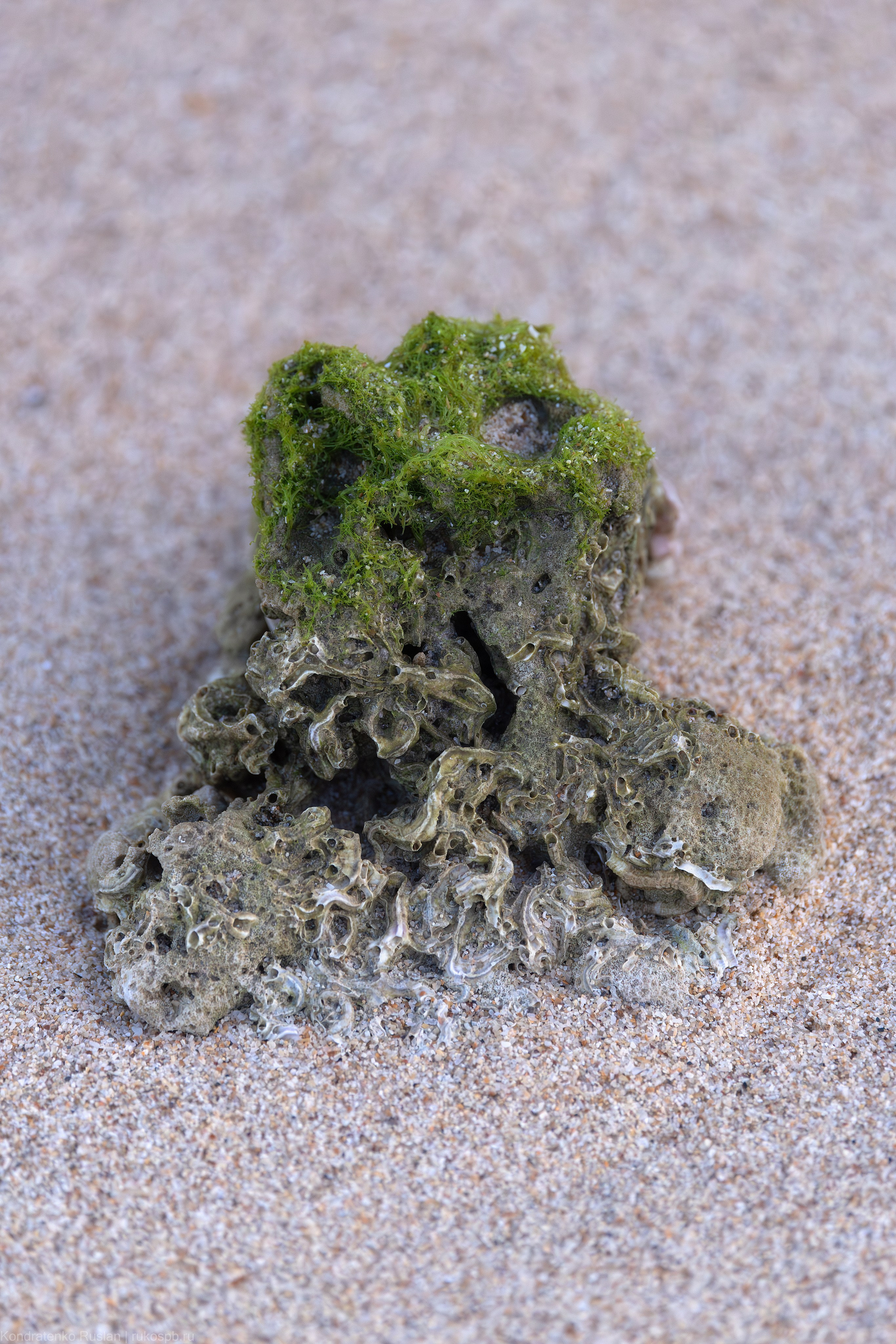 Пхукет. Архитектурный и пейзажный фотограф Кондратенко Руслан, Санкт-Петербург