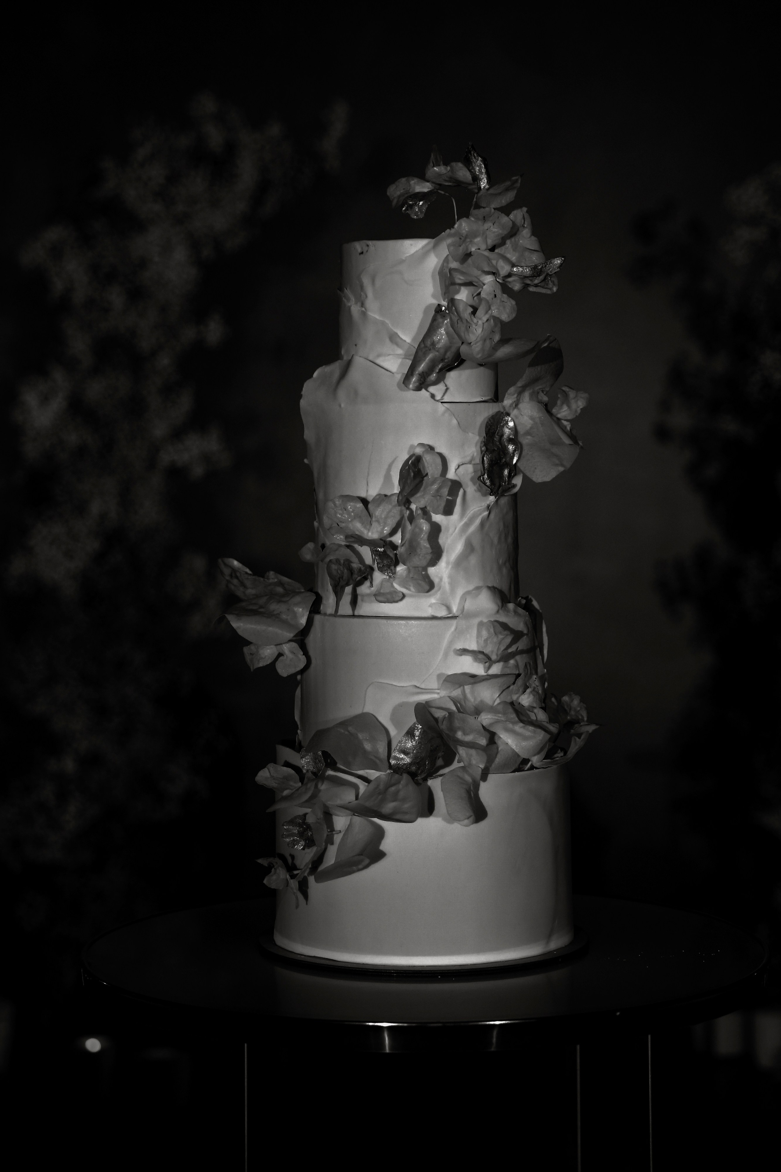 Portfolio. Anastasia Jes | Свадебный фотограф