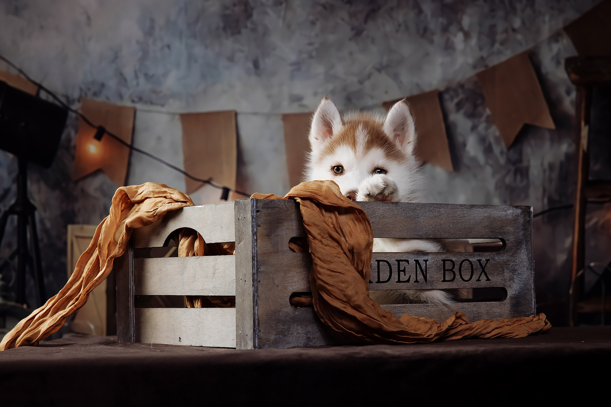 Фотограф-анималист Саша Вязьмина