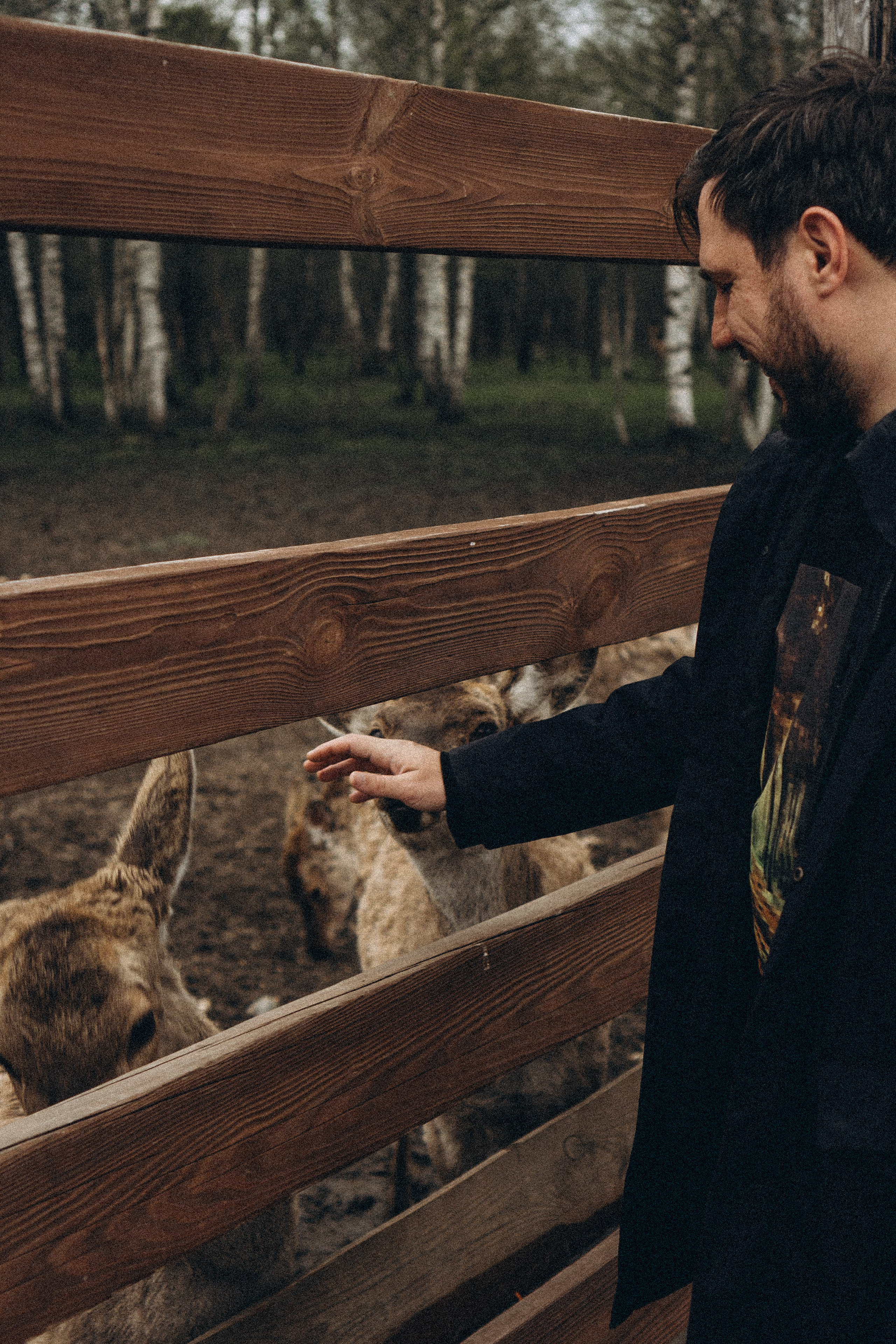 ОЛЕНЬЯ ФЕРМА В ТВЕРИ. Профессиональный фотограф, Санкт-Петербург — Виктория Богомолова