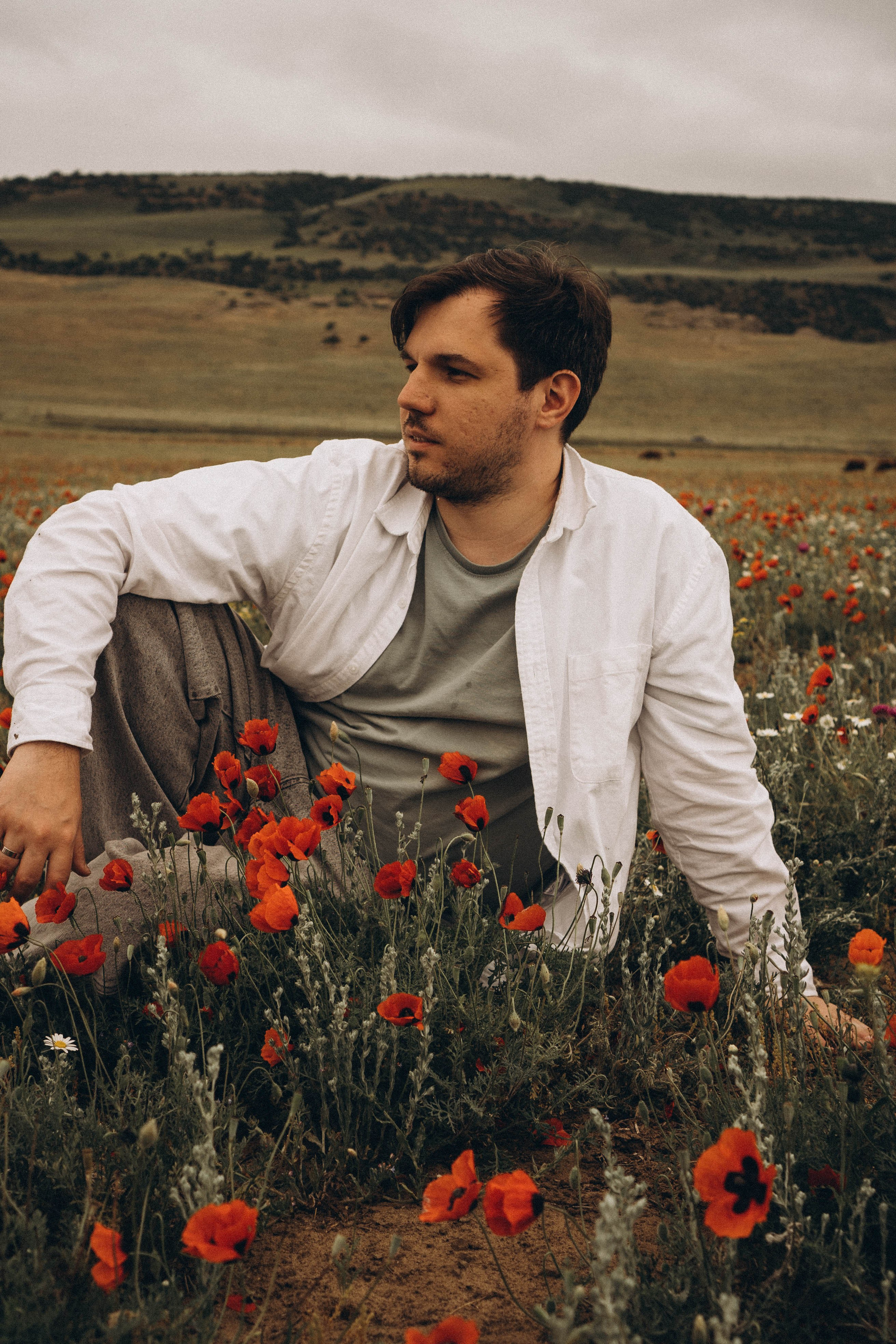 Маки. Профессиональный фотограф, Санкт-Петербург — Виктория Богомолова