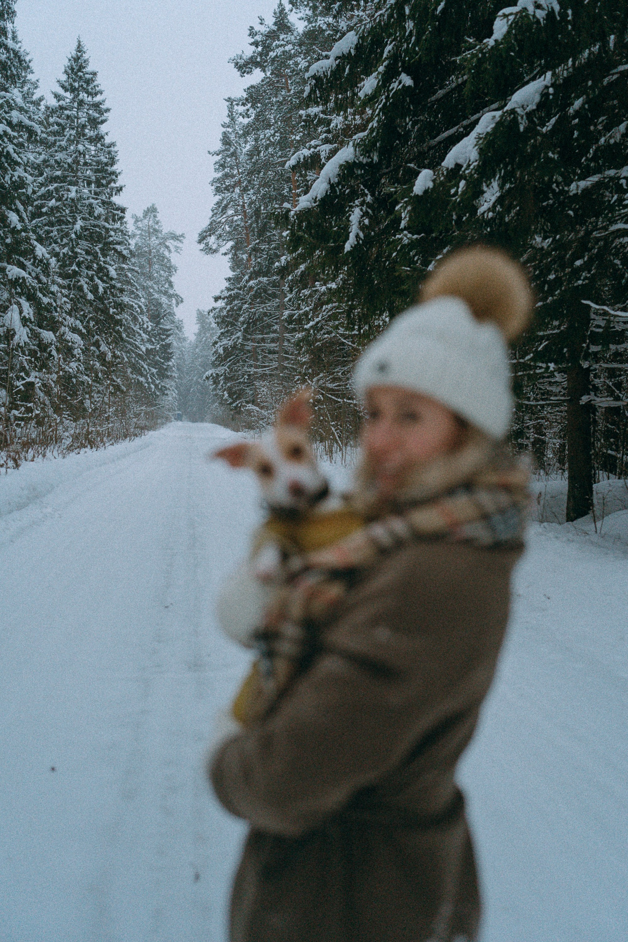 Алина, Ваниль и Элис. Фотограф анималист в Москве и Санкт-Петербурге Свиридова Анна