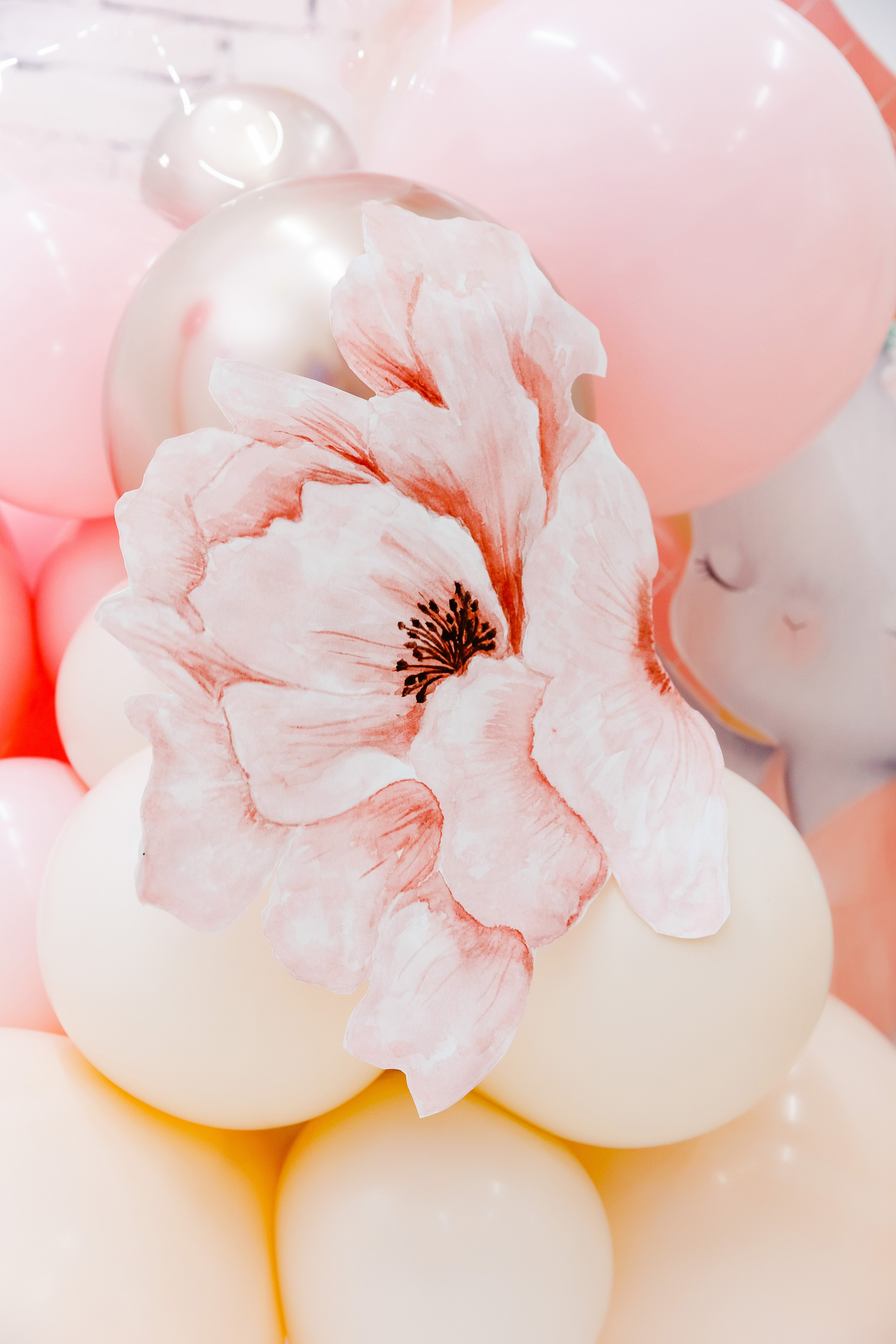 МК декораторов. Фотограф Новосибирск — Наталья Гресь