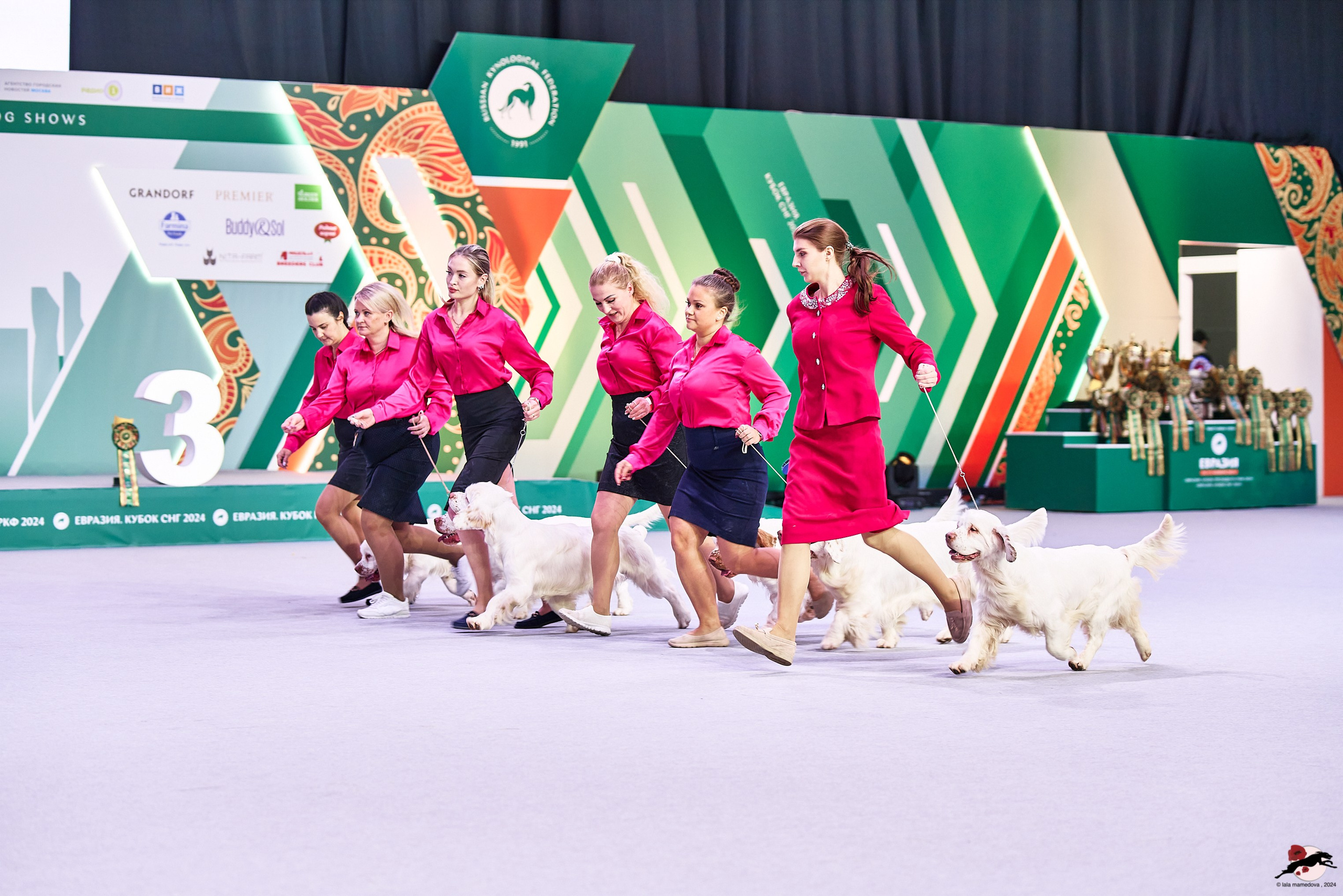 16.11.2024 «ЕВРАЗИЯ. КУБОК ПРЕЗИДЕНТА РКФ 2024»