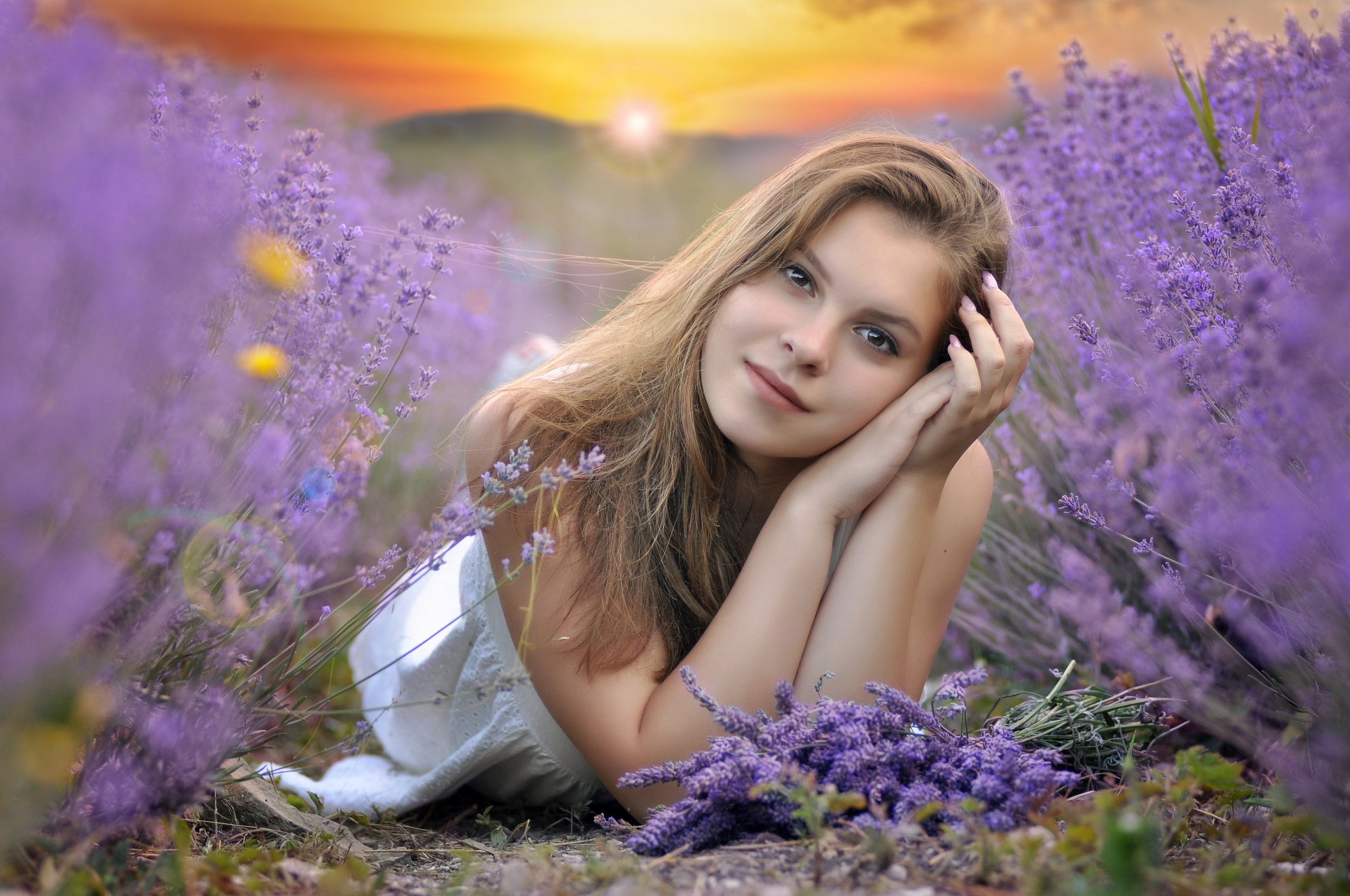 Лаванда. Главная