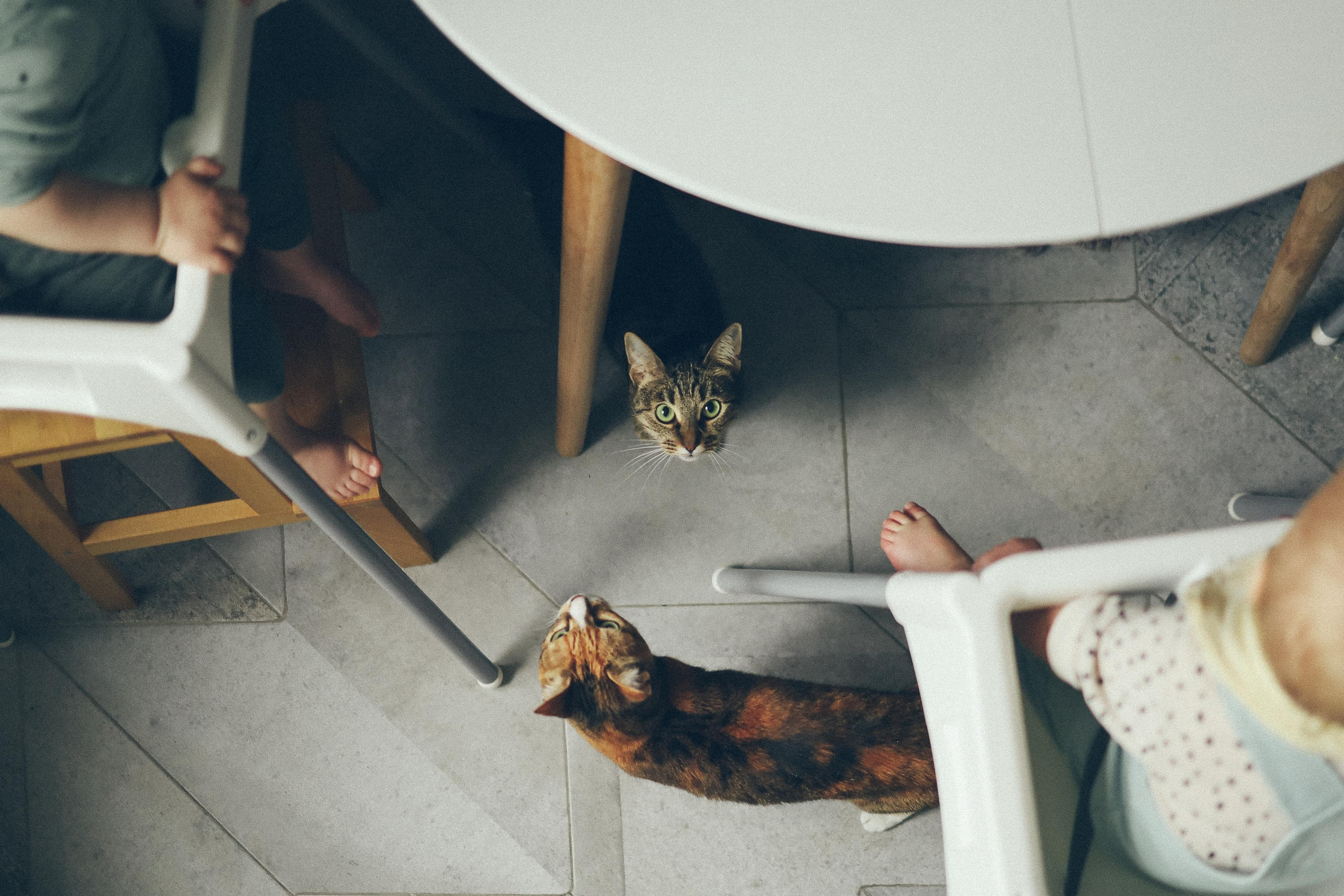 Тройняшки. Детский семейный фотограф в Москве Светлана Микадзе