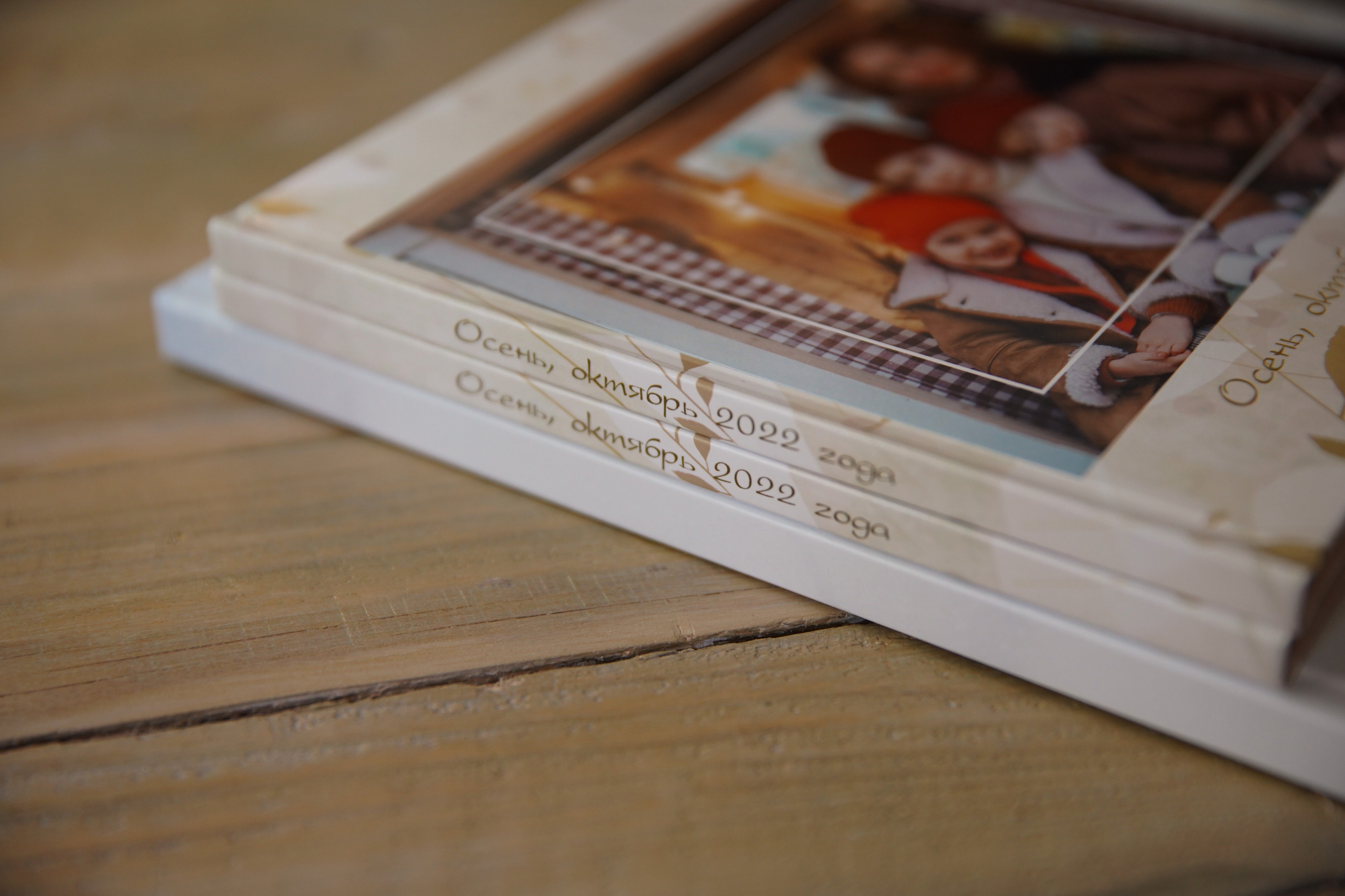 Осенняя. Семейный и детский фотограф в Сергиев Посаде, Хотьково Якимчук Любовь