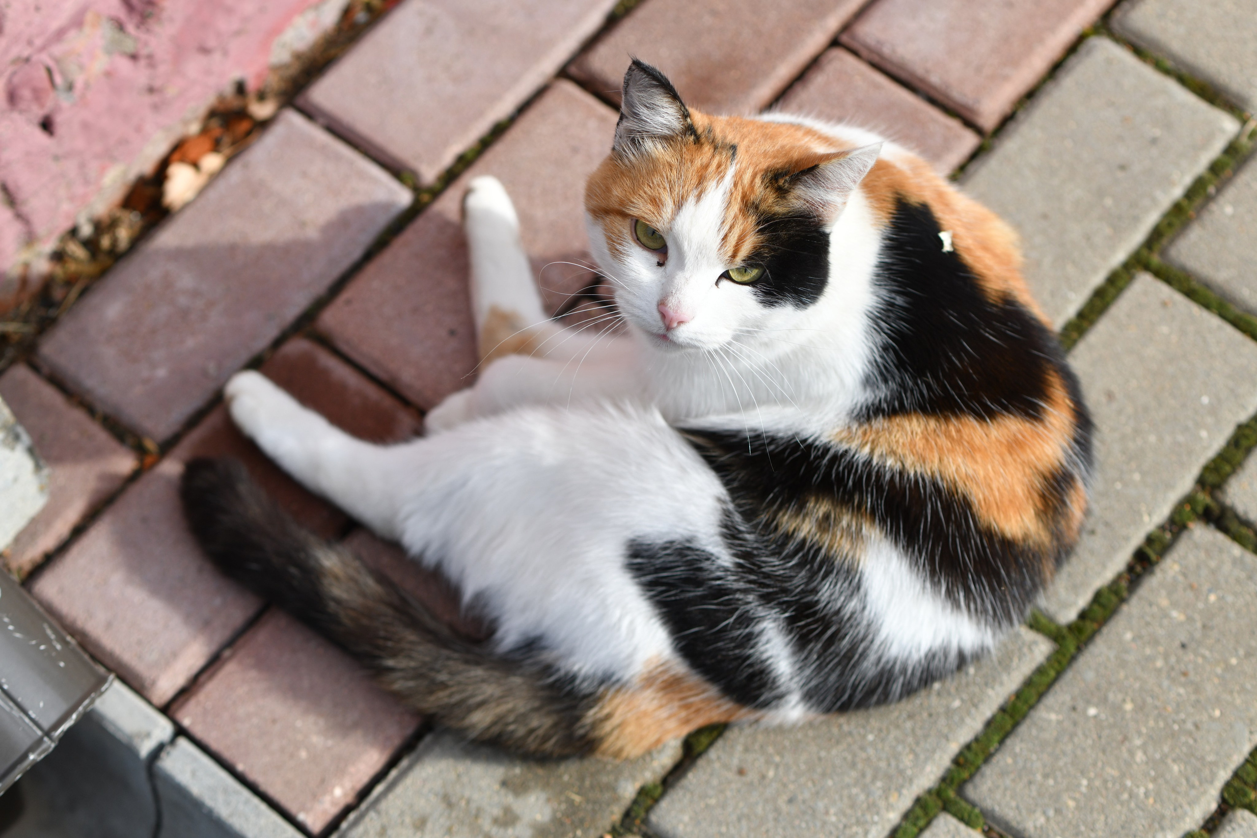 Крещение в Покровской церкви. Свадебный и портретный фотограф в Москве Галина Борисова