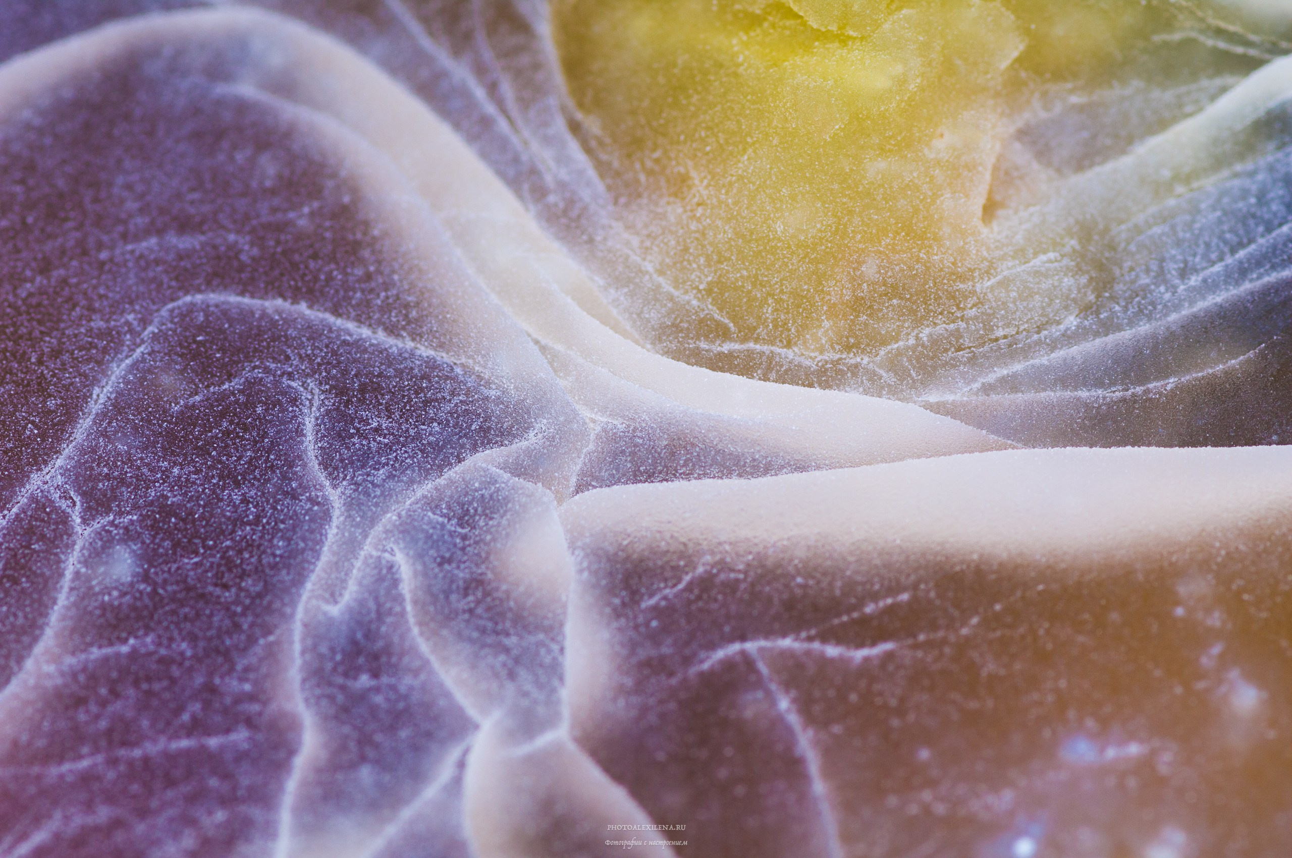 Осязаемая красота. Авторские стильные фотокартины