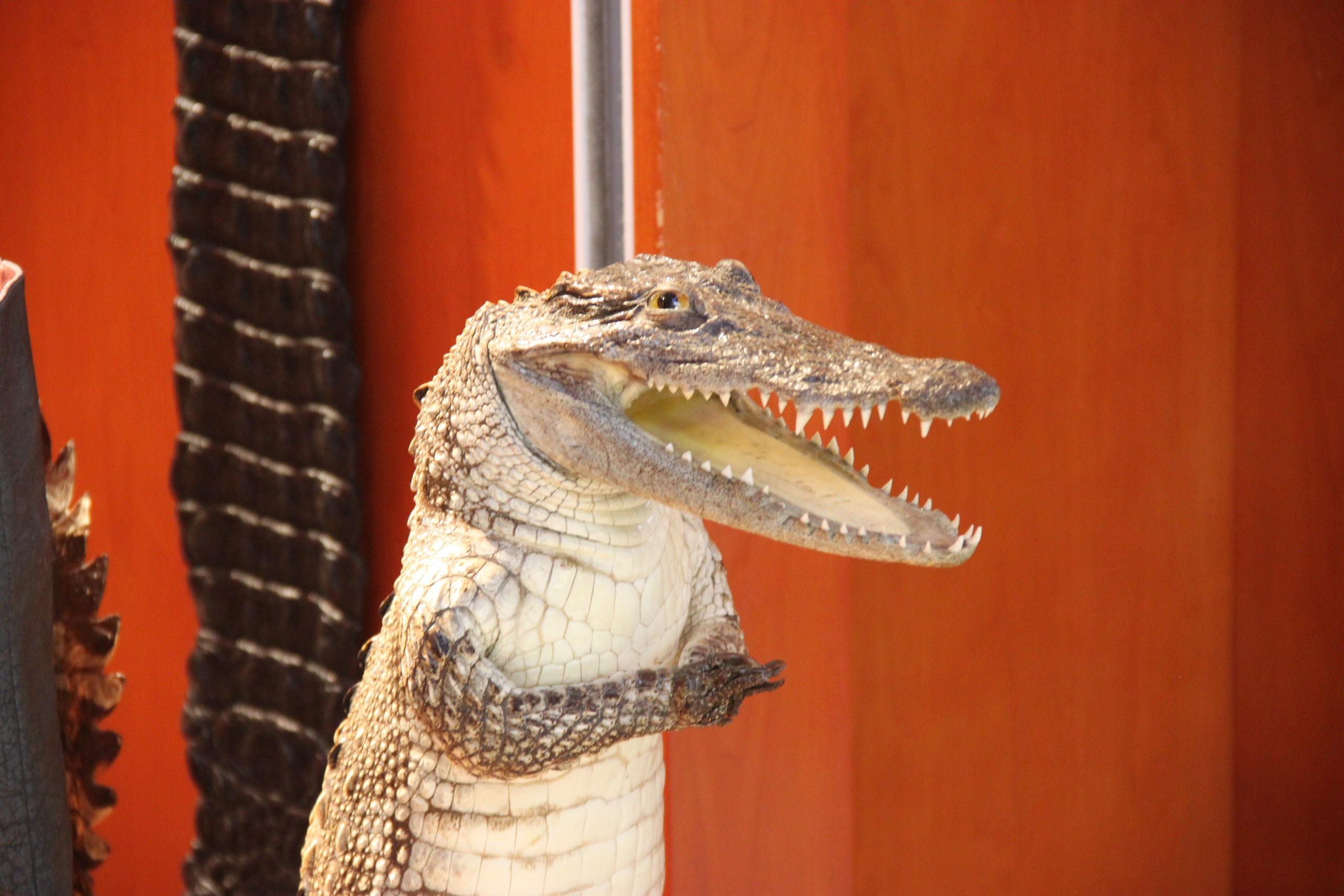 Shanghai, China. Andrey Filippov Photographer