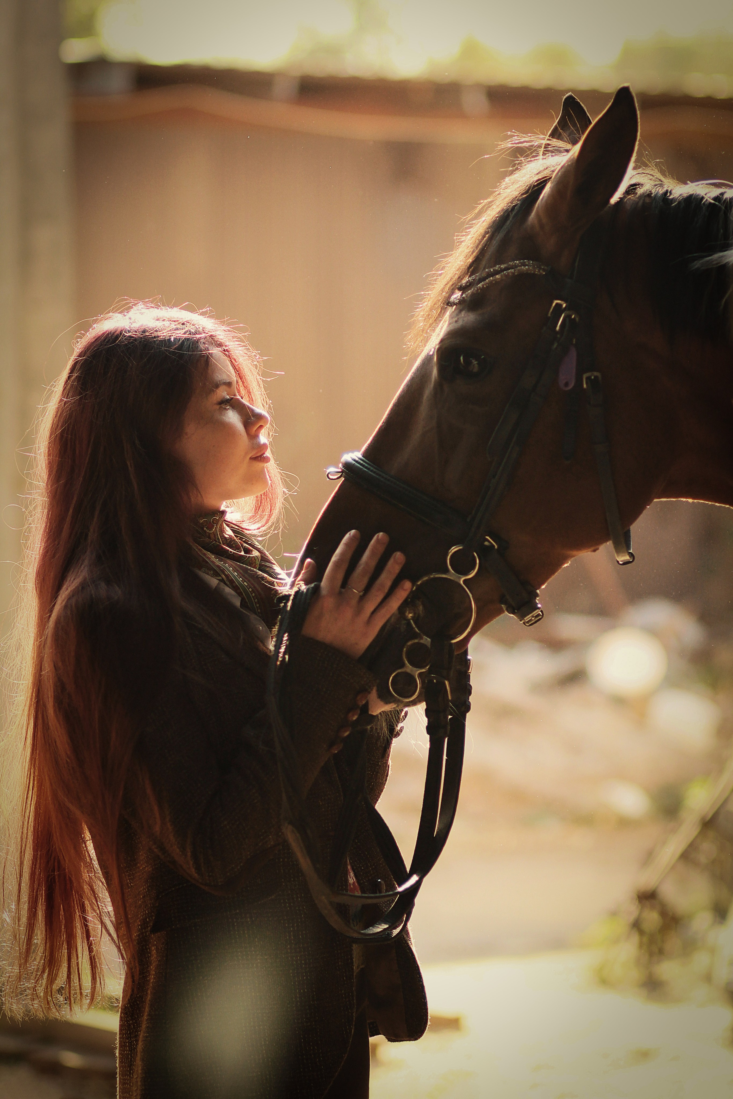 Фотосессия с лошадьми. Бизнес и семейный фотограф Наталья Преснякова Москва Балашиха