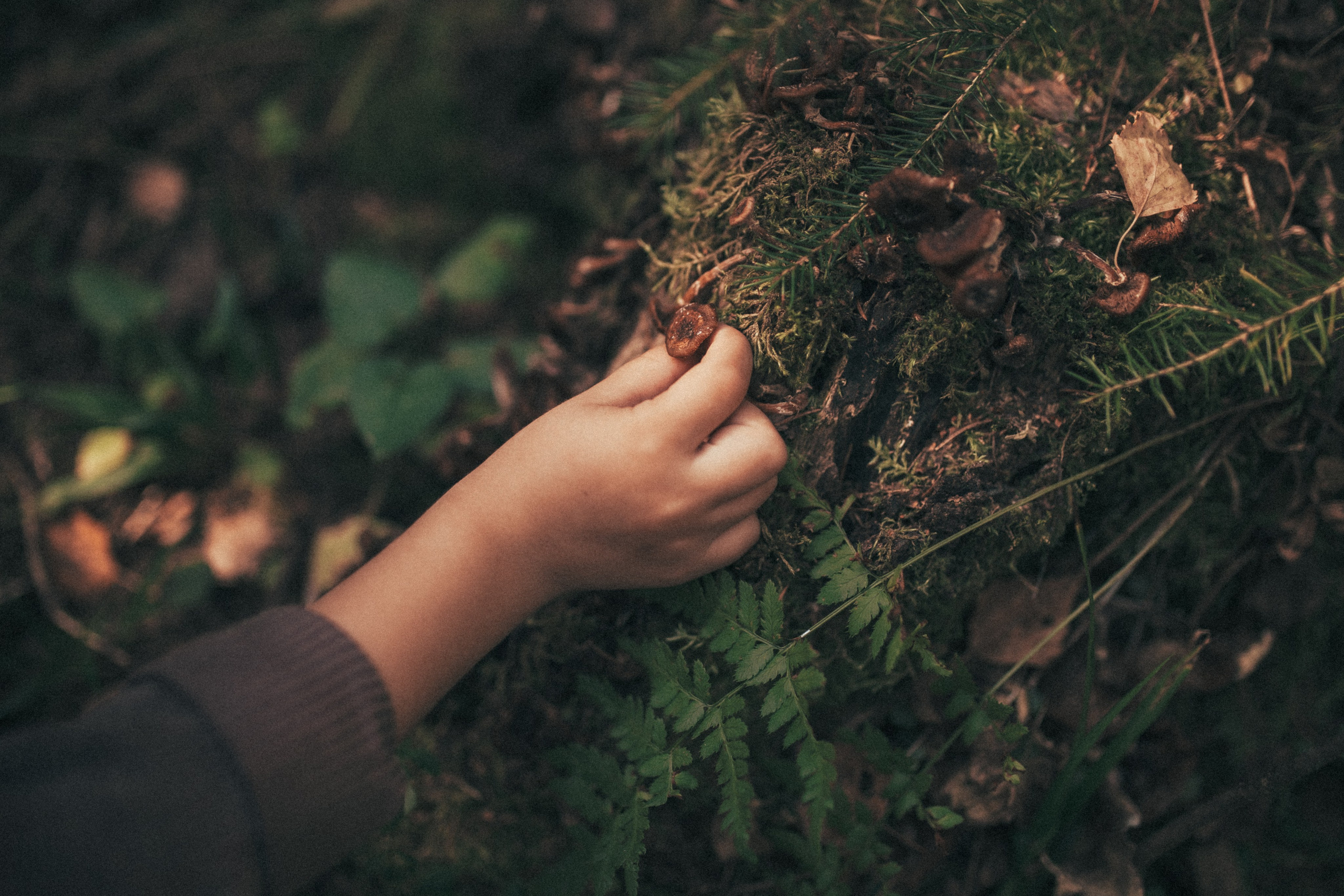 Домик на дереве и моя любимая семья. Фотограф в Москве Наталья Спиридонова