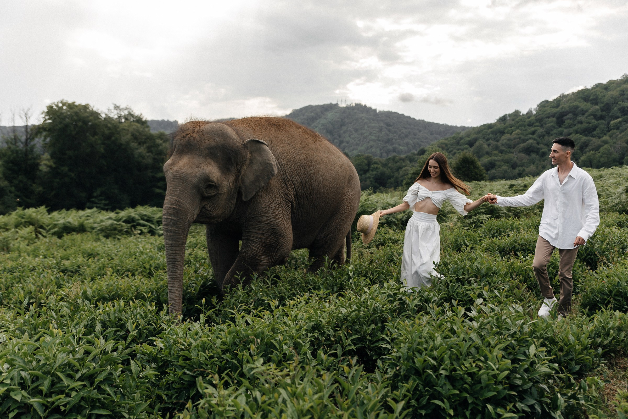 Он, она и слоны. Свадебный фотограф в Ростове-на-Дону