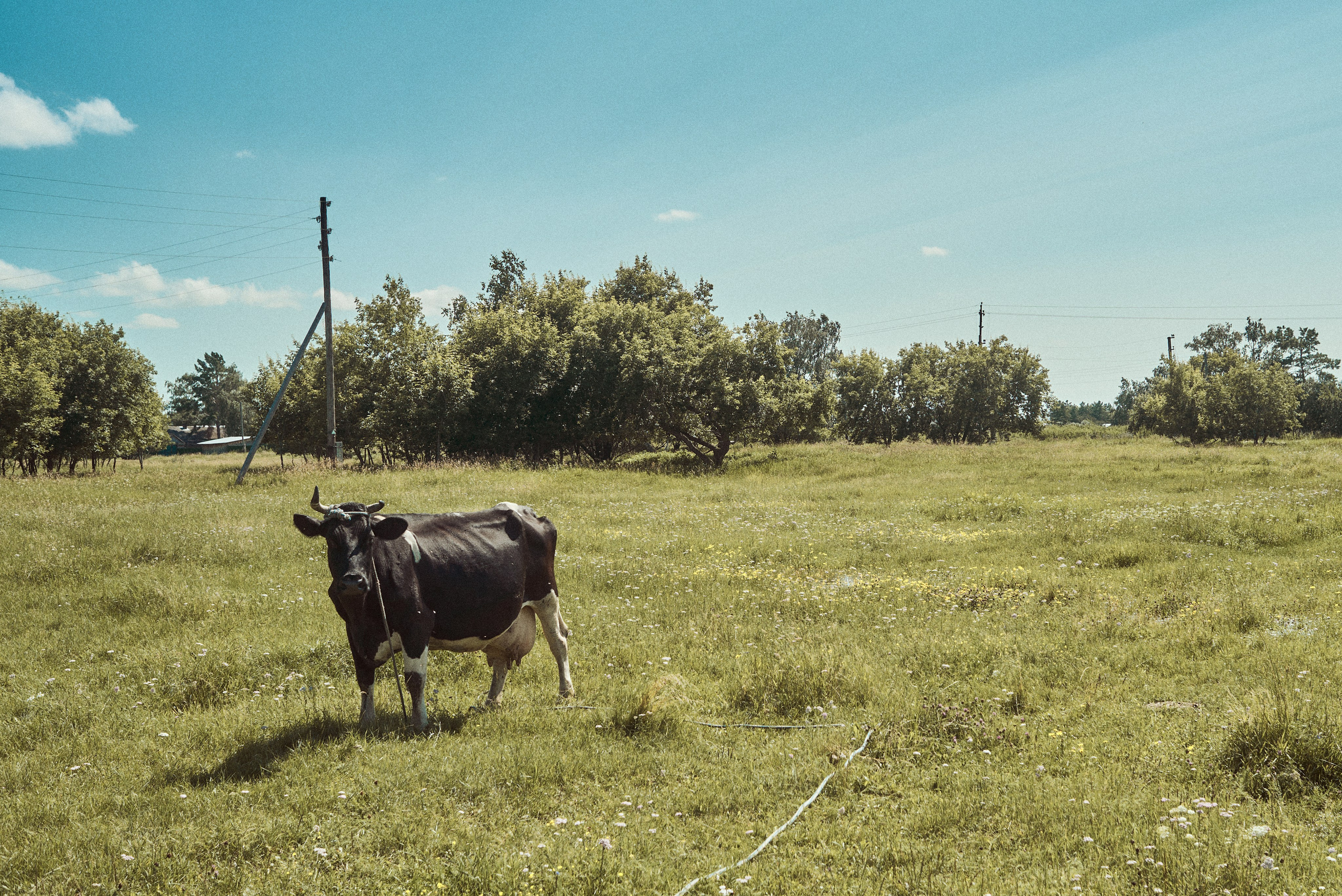 2024. Марфин. Фотограф