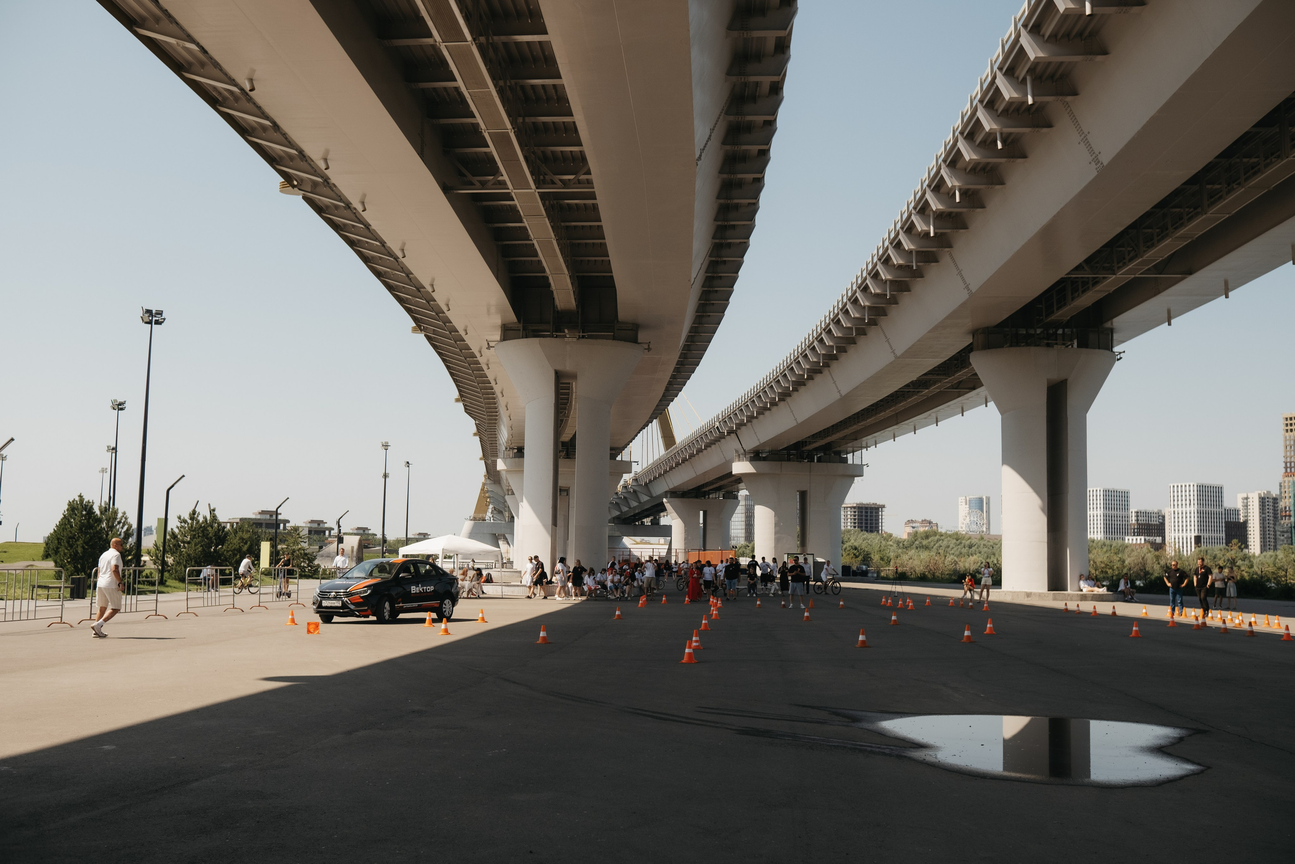 VECTOR FEST. Обо мне