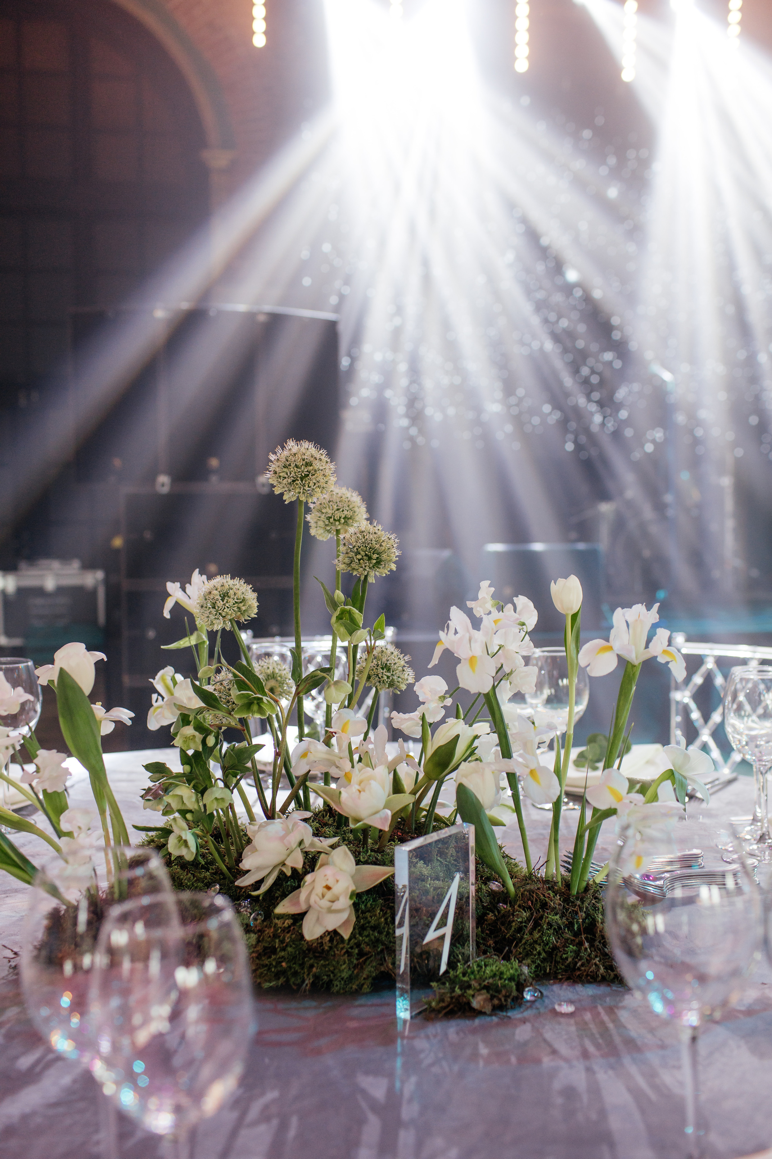 «LOFT HALL». Свадебный и семейный фотограф