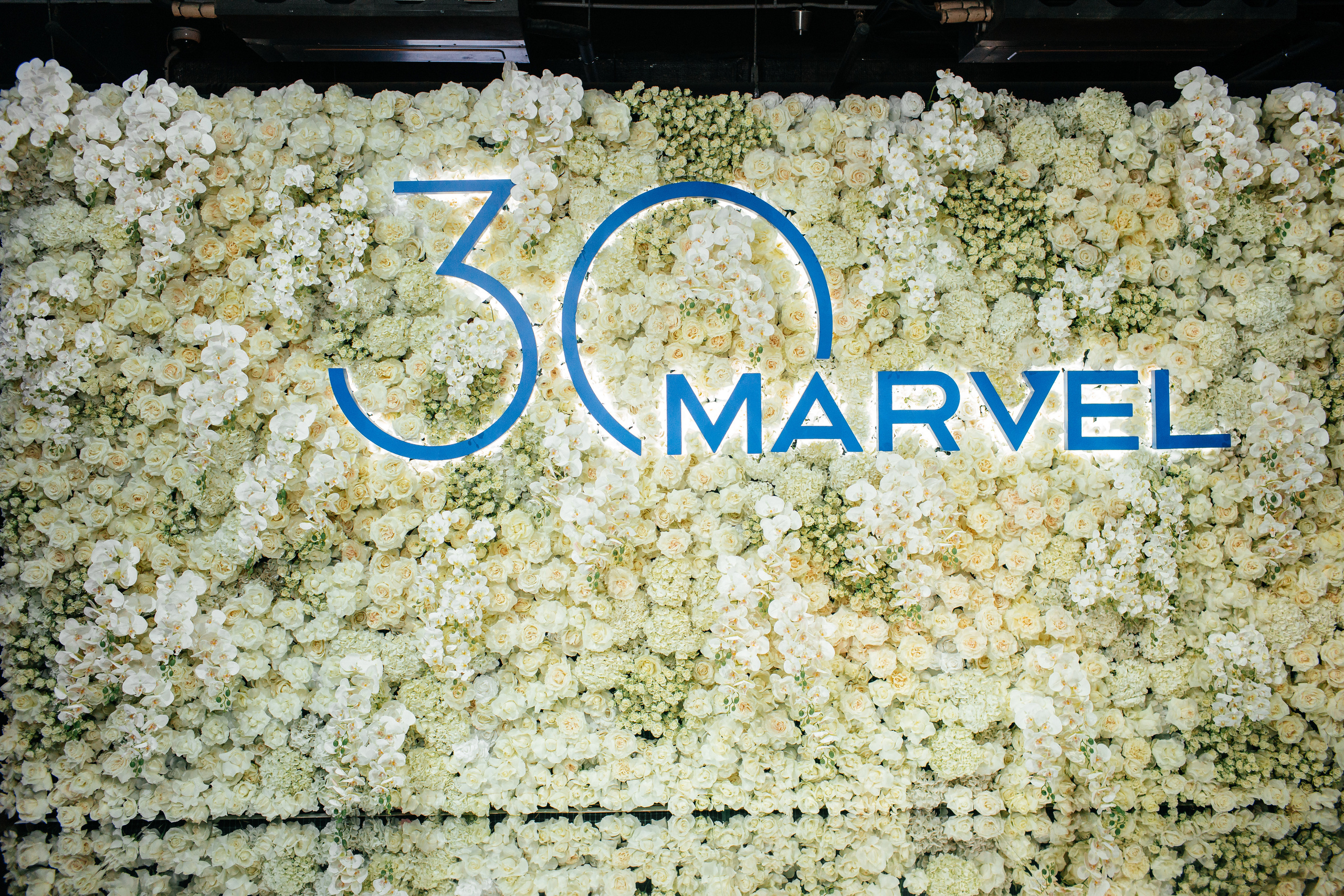 Корпоратив 600 человек. БИ-2. Свадебный и семейный фотограф