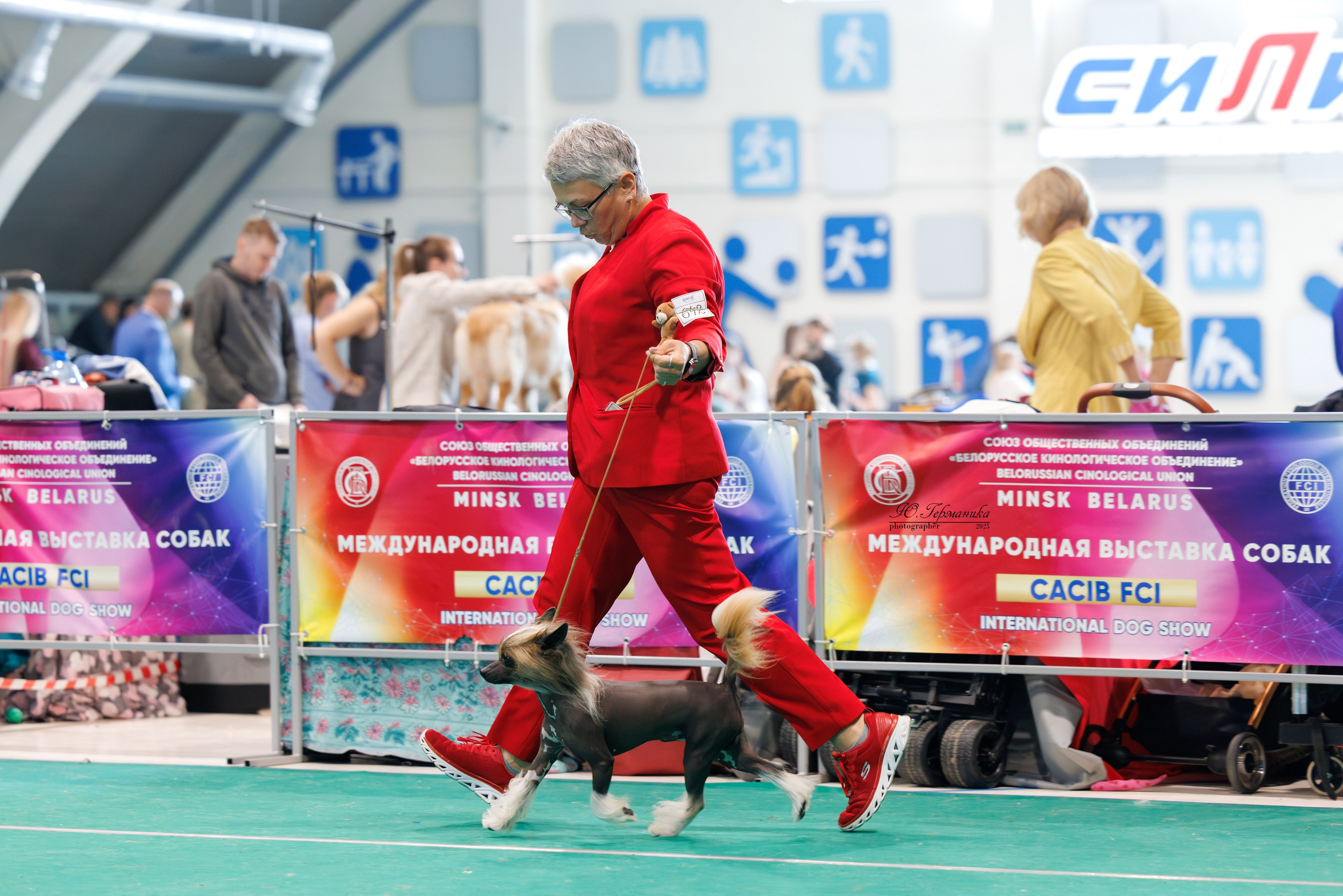 Минск 31.05-1.06.2025. Фотограф-анималист Юлия Германика