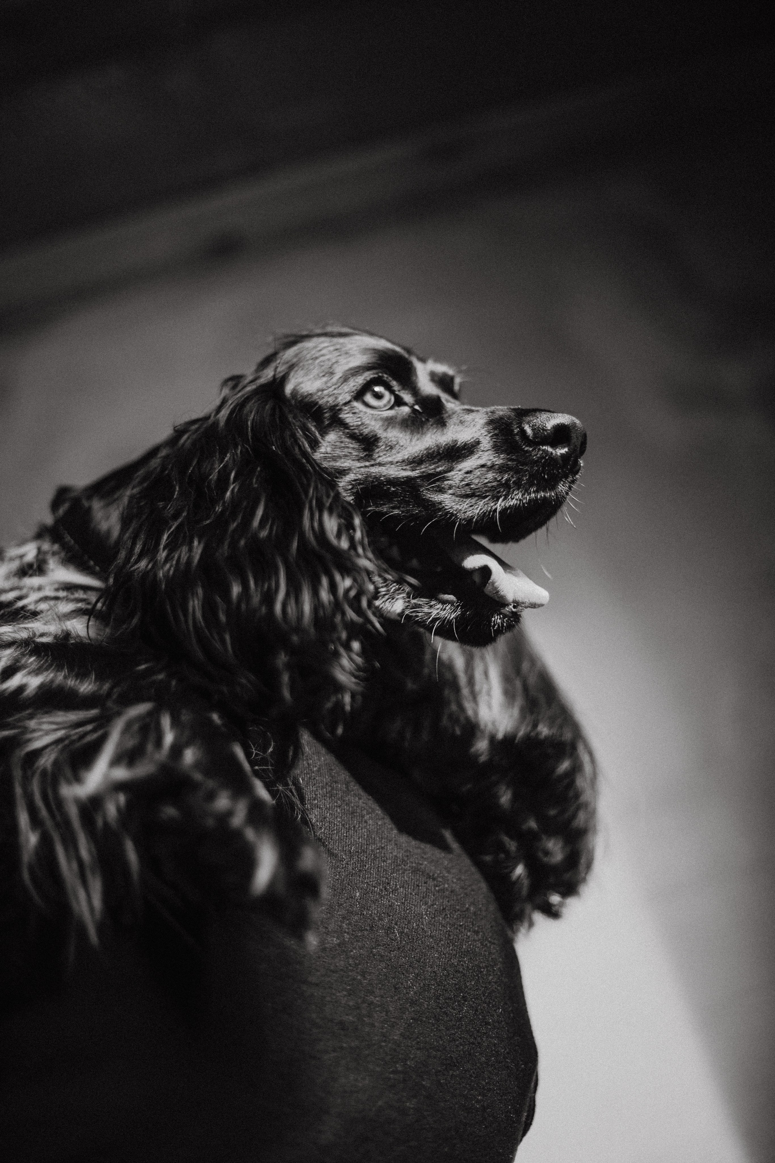 Марина и Сэм. Фотограф в Нижнем Новгороде