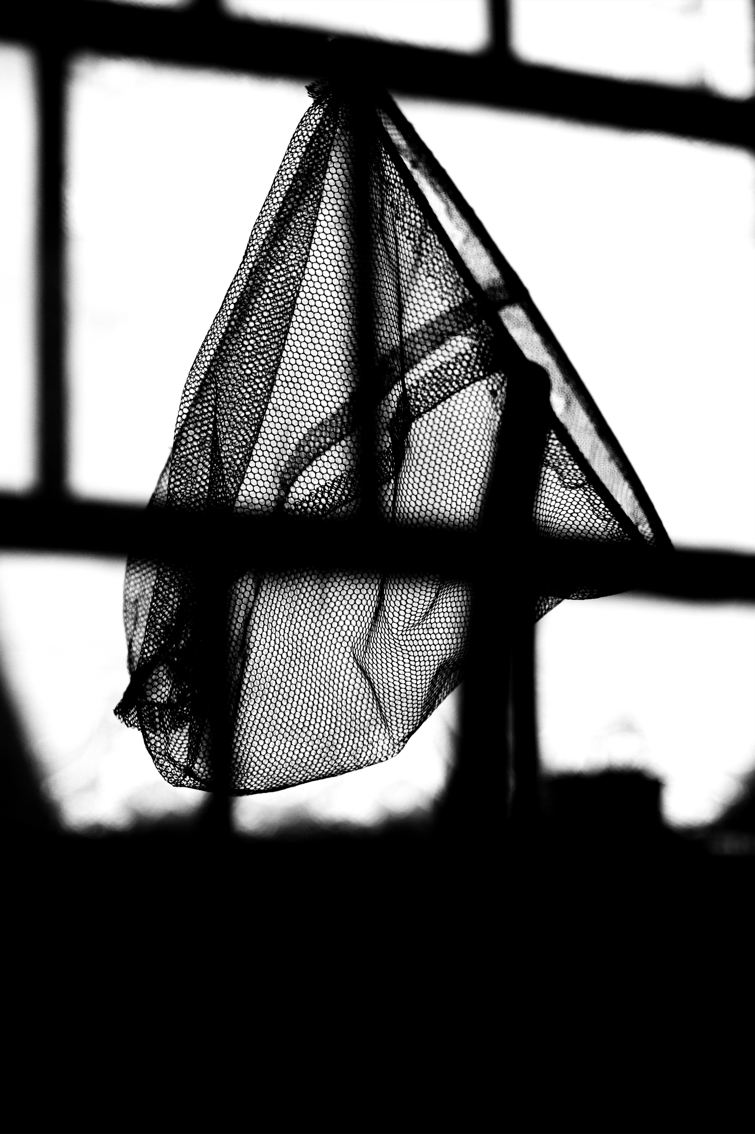 ЧБ  пейзажи (BnW landscape). Фотограф (photographer) Lischinski Vitaliy