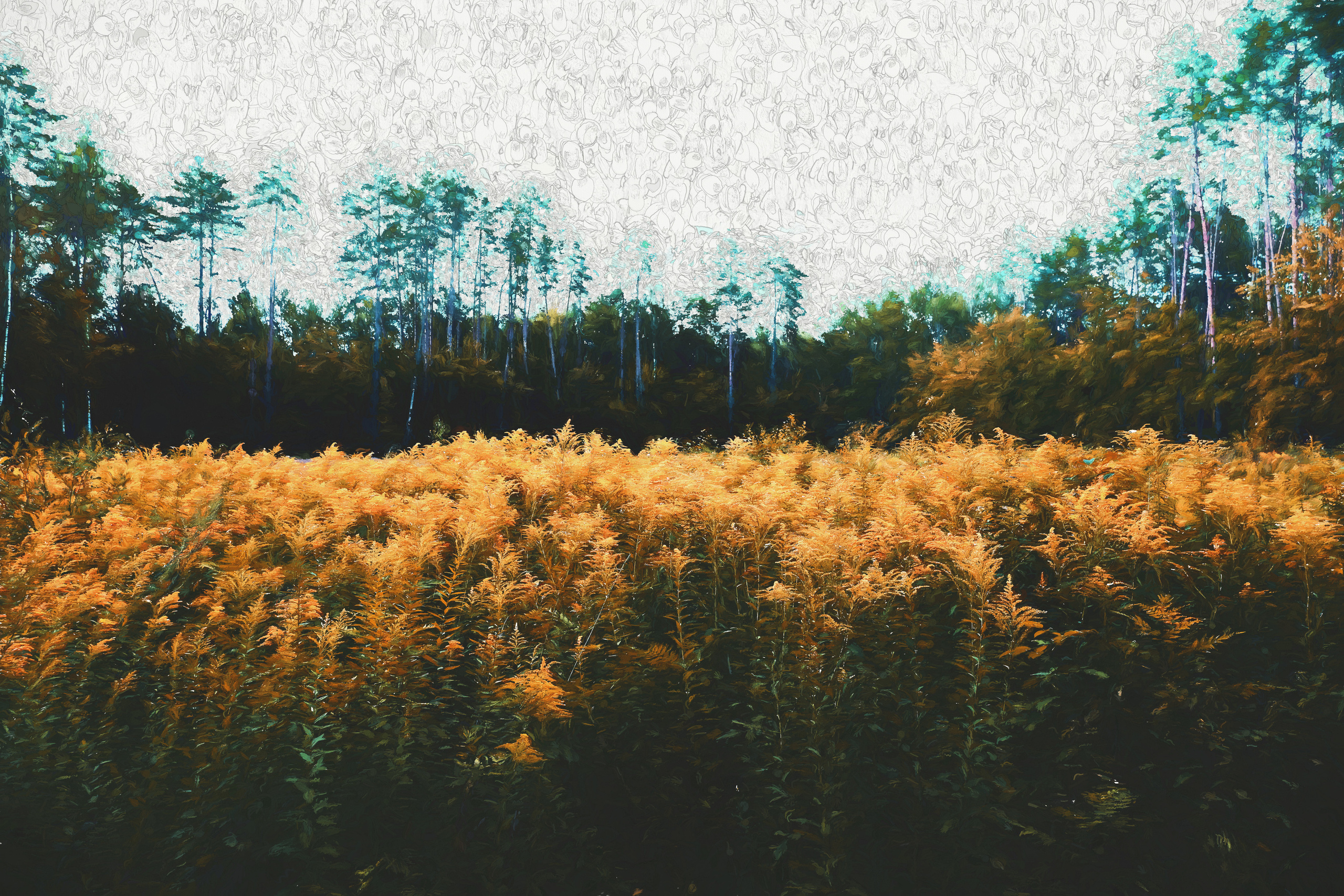 Photographic paintings. Фотограф (photographer) Lischinski Vitaliy