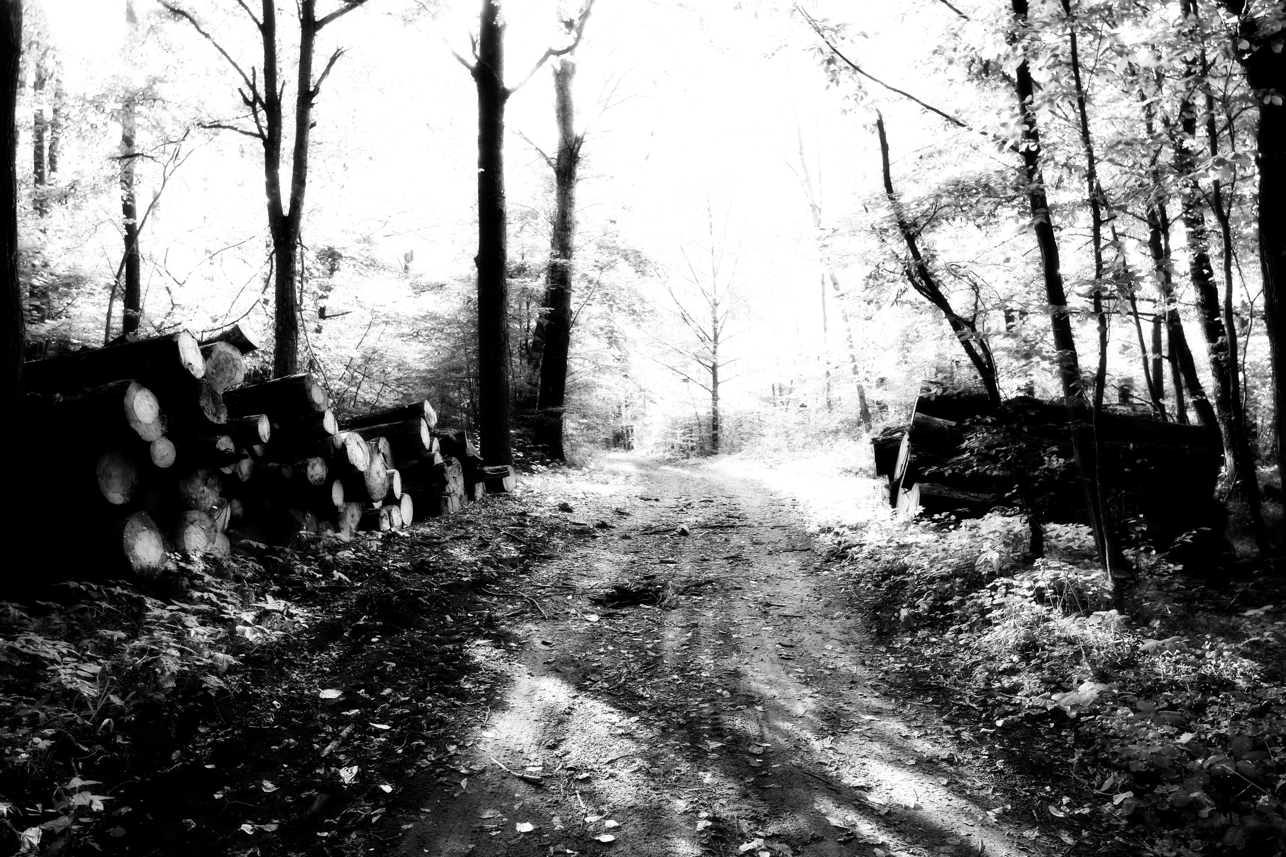 ЧБ  пейзажи (BnW landscape). Фотограф (photographer) Lischinski Vitaliy