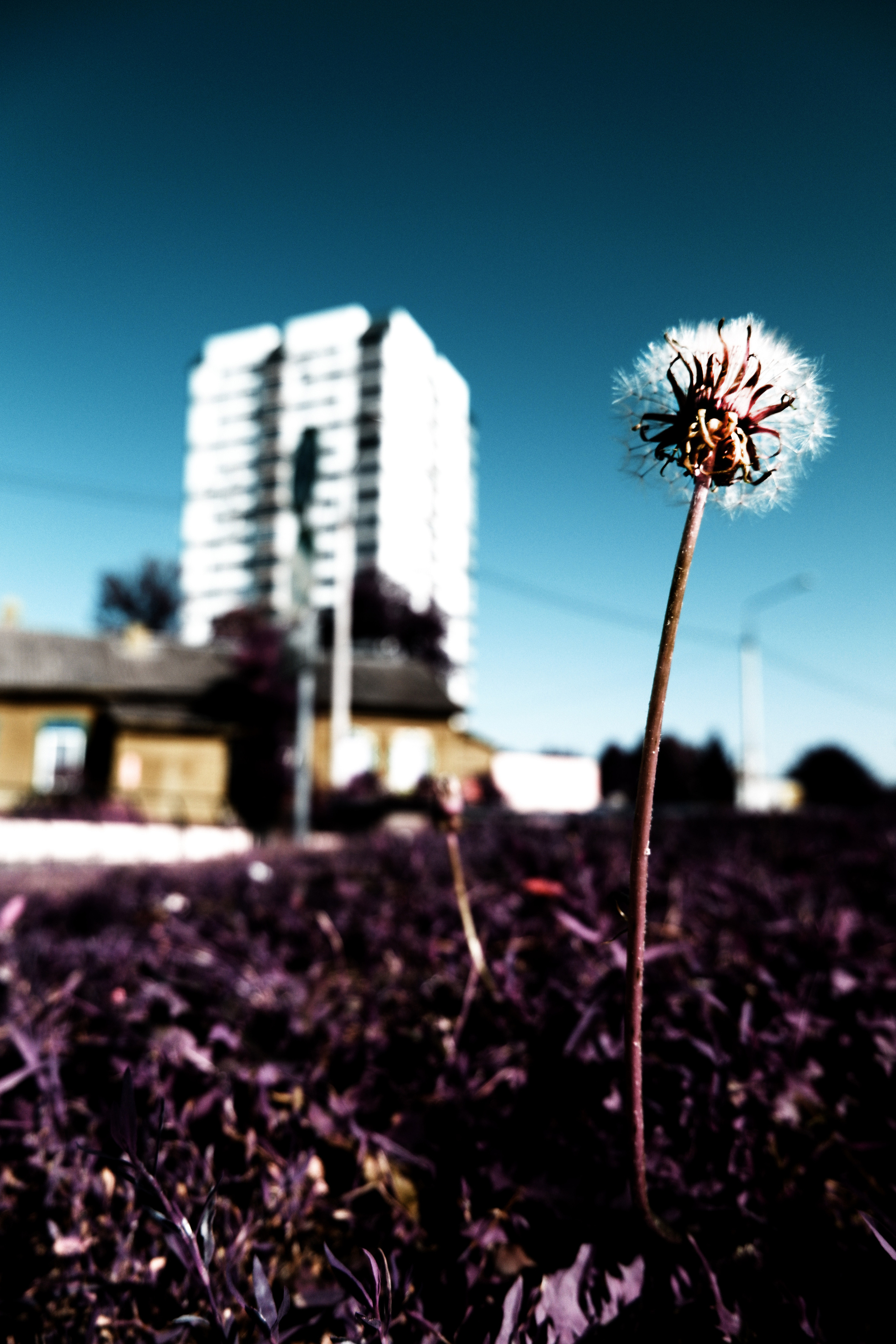 Street photo. Фотограф (photographer) Lischinski Vitaliy