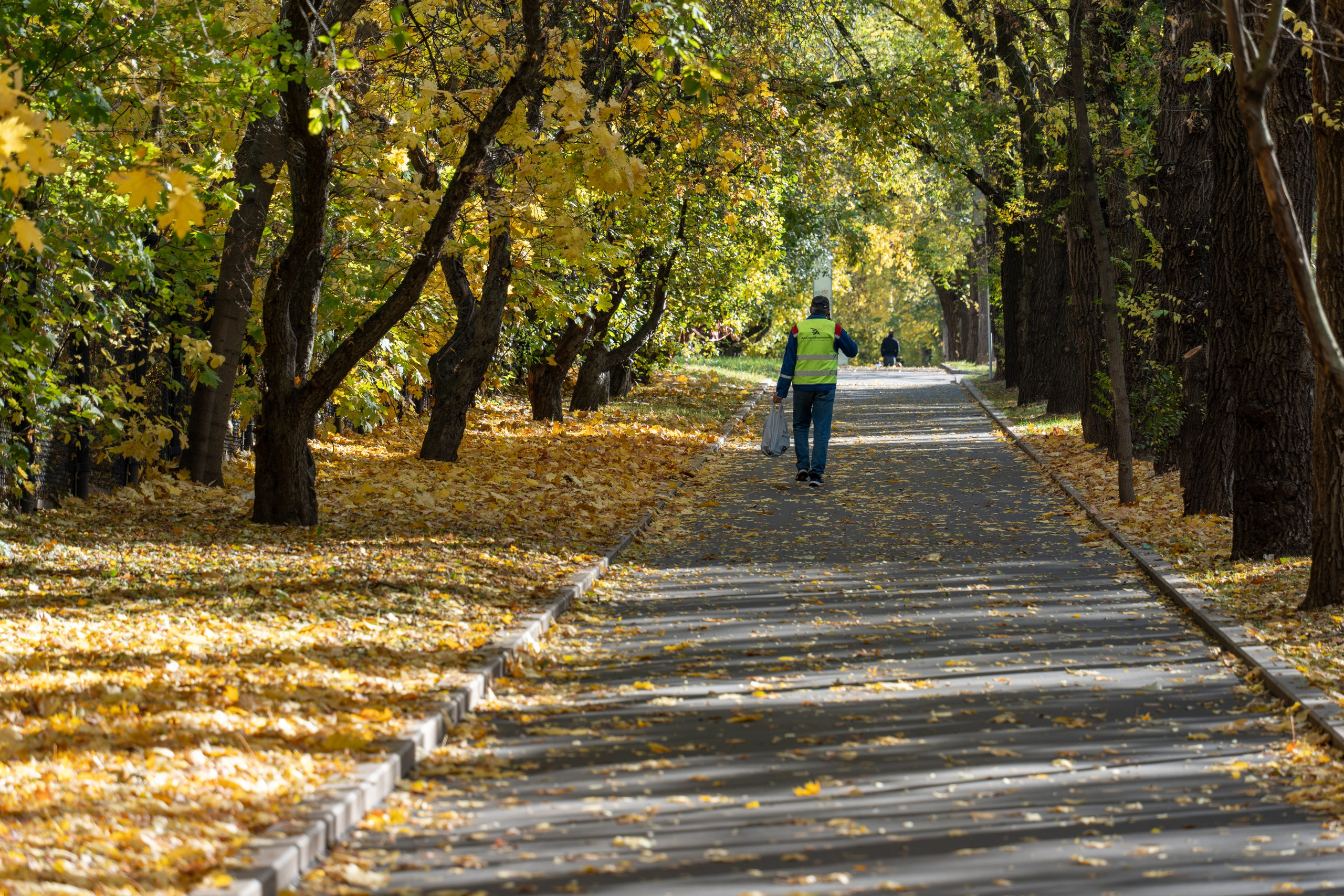 20251012 МГУ. Дмитрий Ремизов. Фотография, как хобби