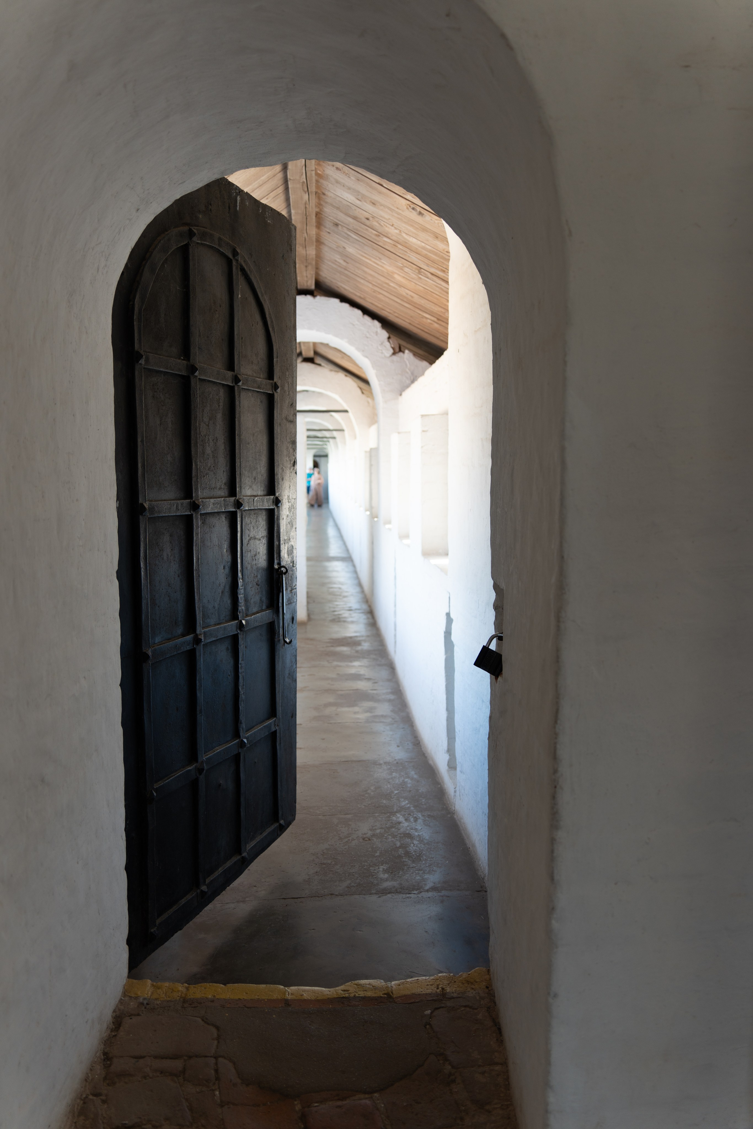 20250729-30 Ростов. Дмитрий Ремизов. Фотография, как хобби