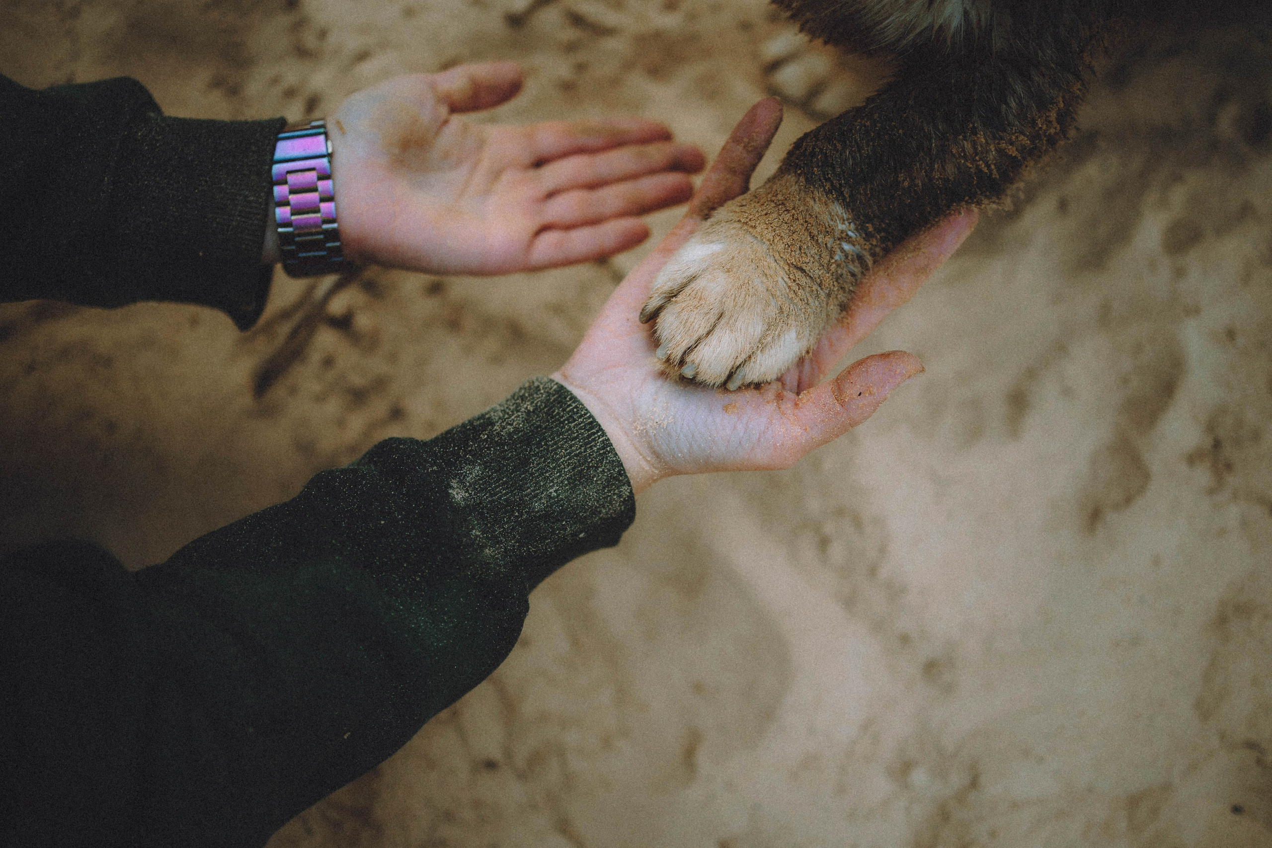 Таня, Ерш и Оллик