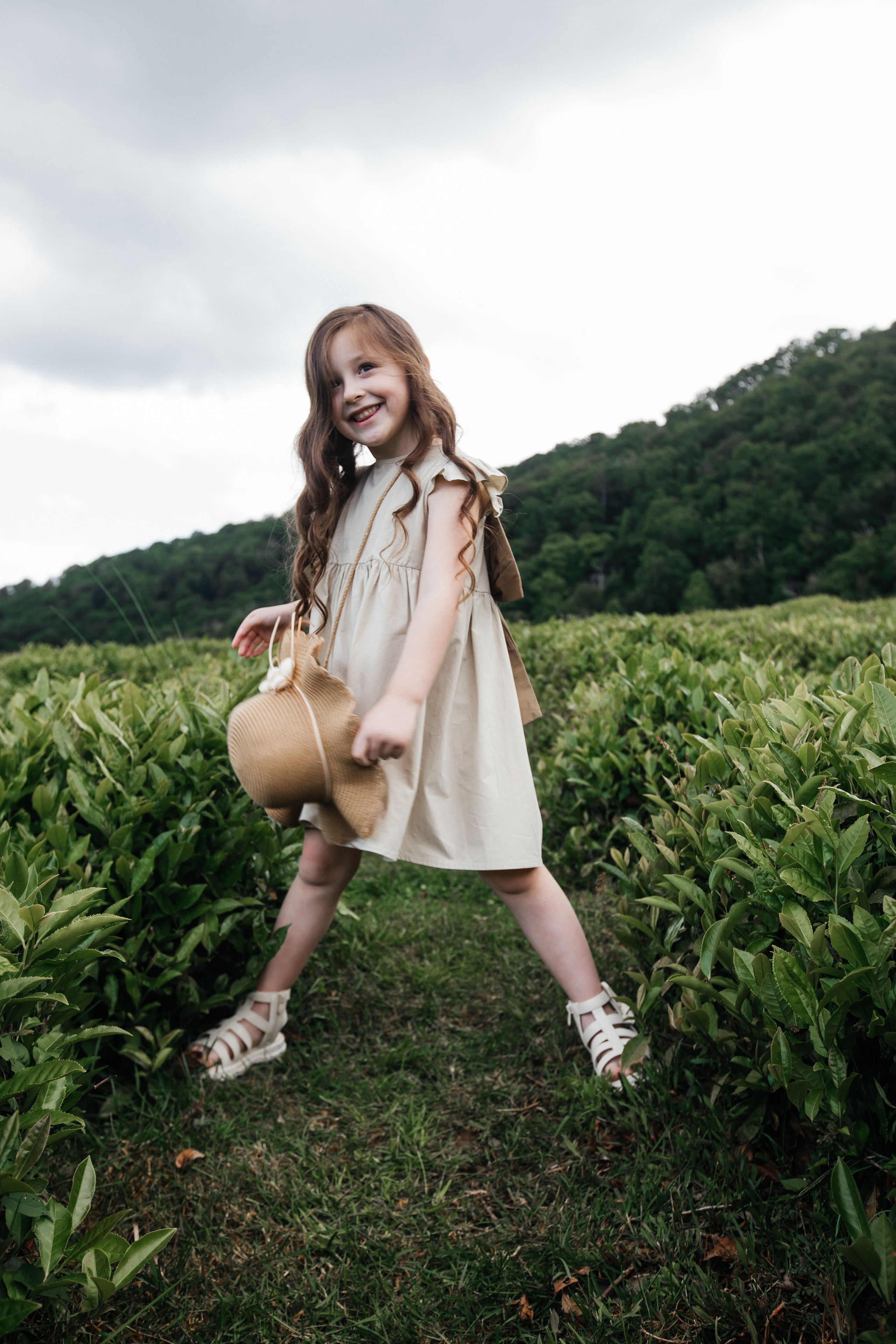 Tea plantation. Efimova Model Agency