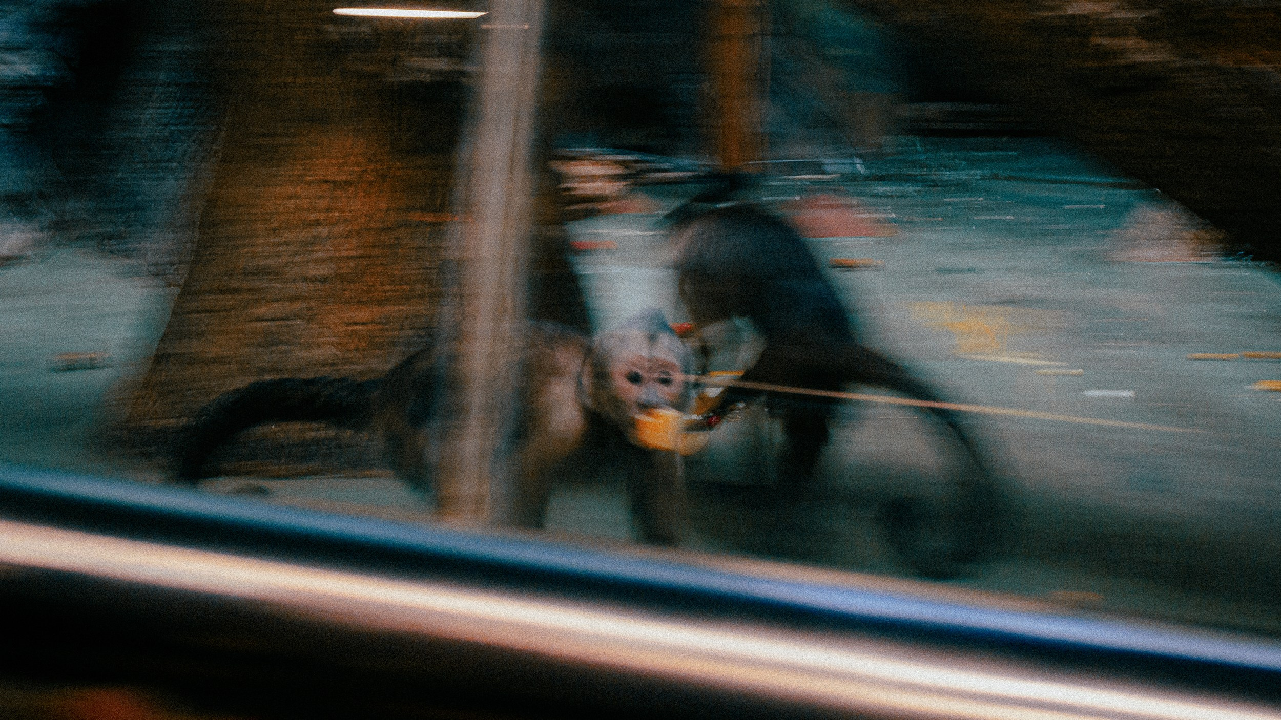 Зоопарк '22. Фёдор Малюгин. Ваш бади в визуале