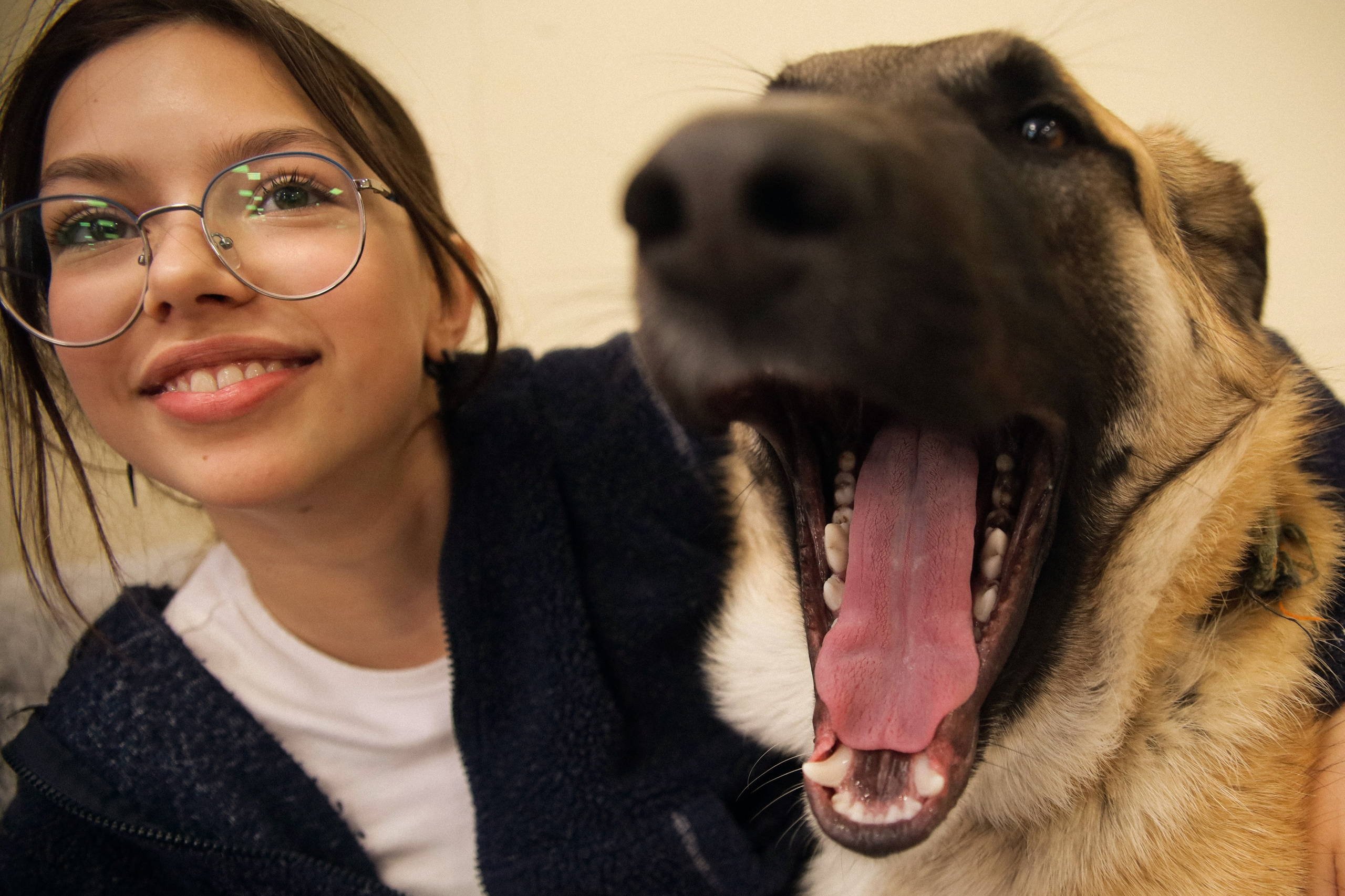 С собаками. Фотограф в Серпухове и Тарусе Ксения Царёва