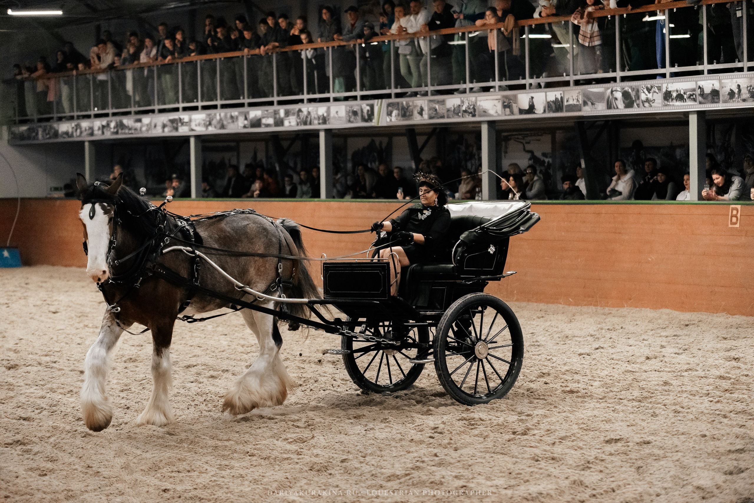 Конное представление «Дыхание Звёзд». Конный фотограф Куракина Дарья • Фотосессии с лошадьми