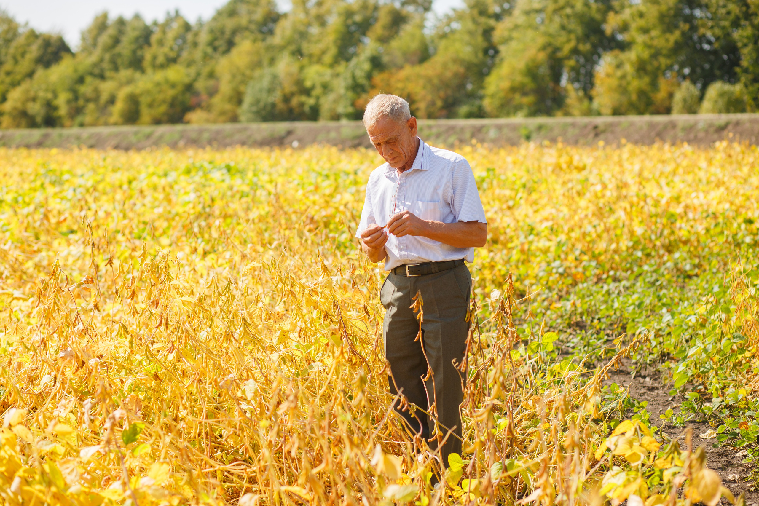 Агротерра. Фотограф Яков Поспехов