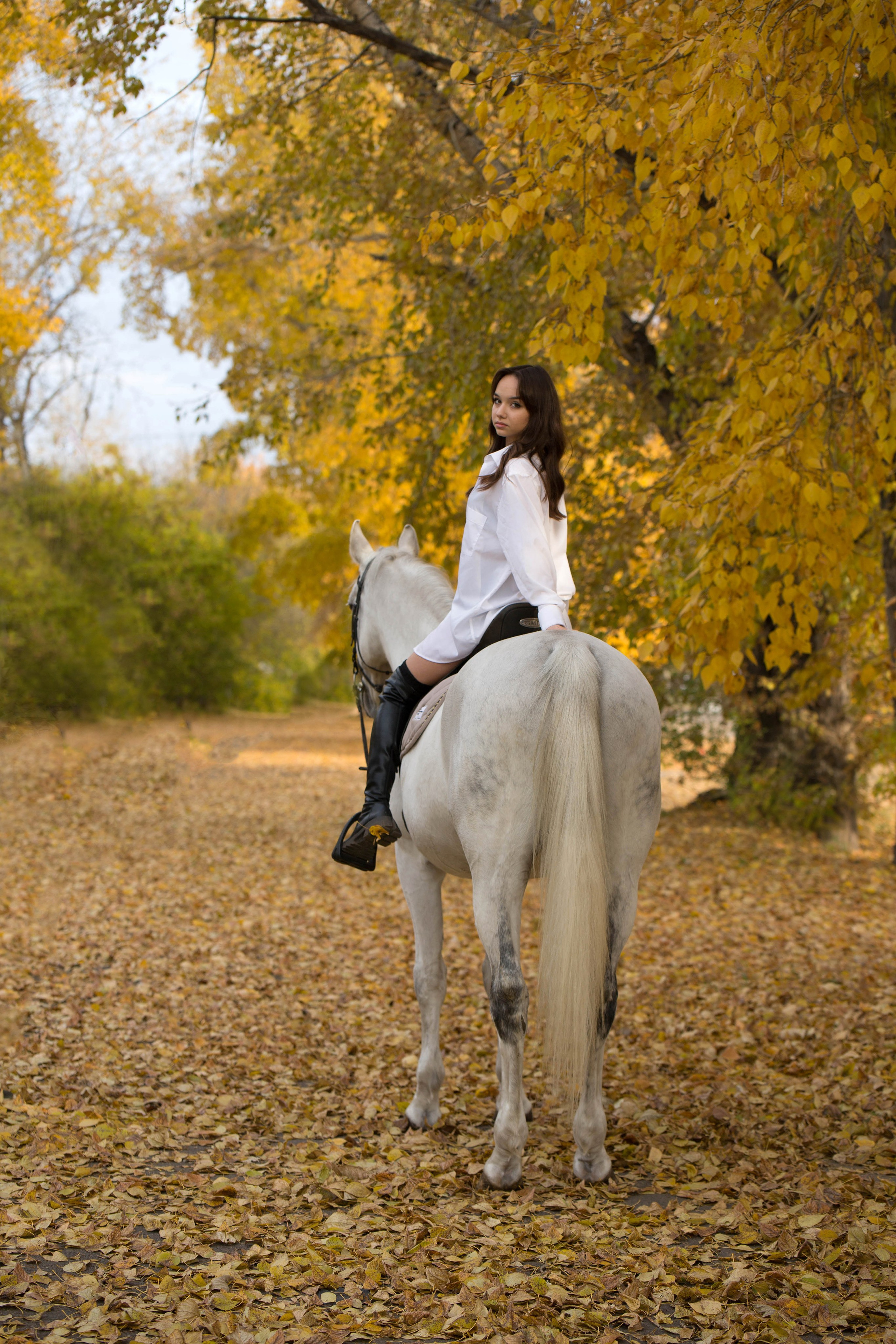 Зина и Пэрис. Конный фотограф в Красноярске — Любовь Похабова