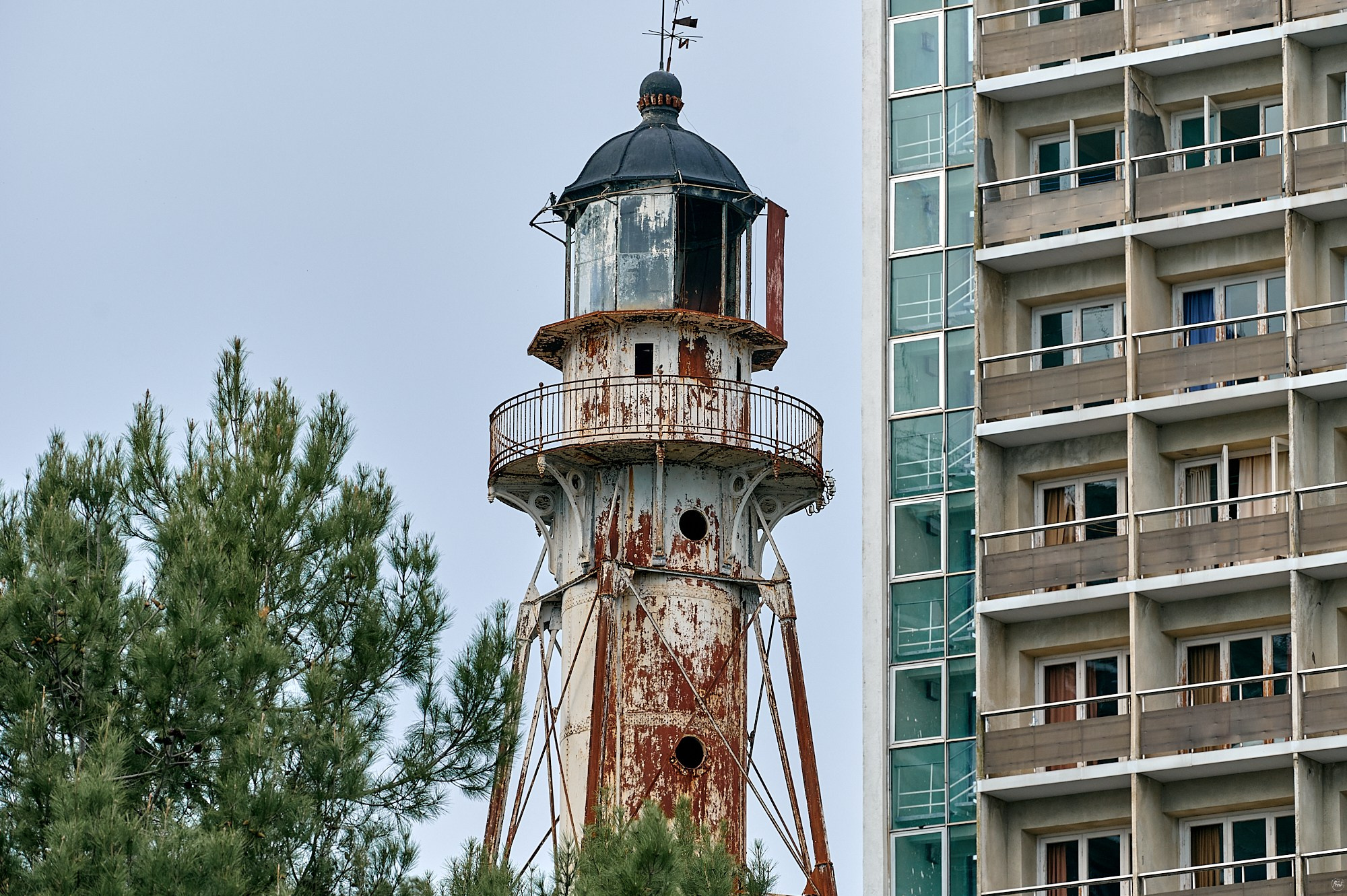 Пицунда, Абхазия. Декабрь 2024. Фотографии отовсюду и обо всем