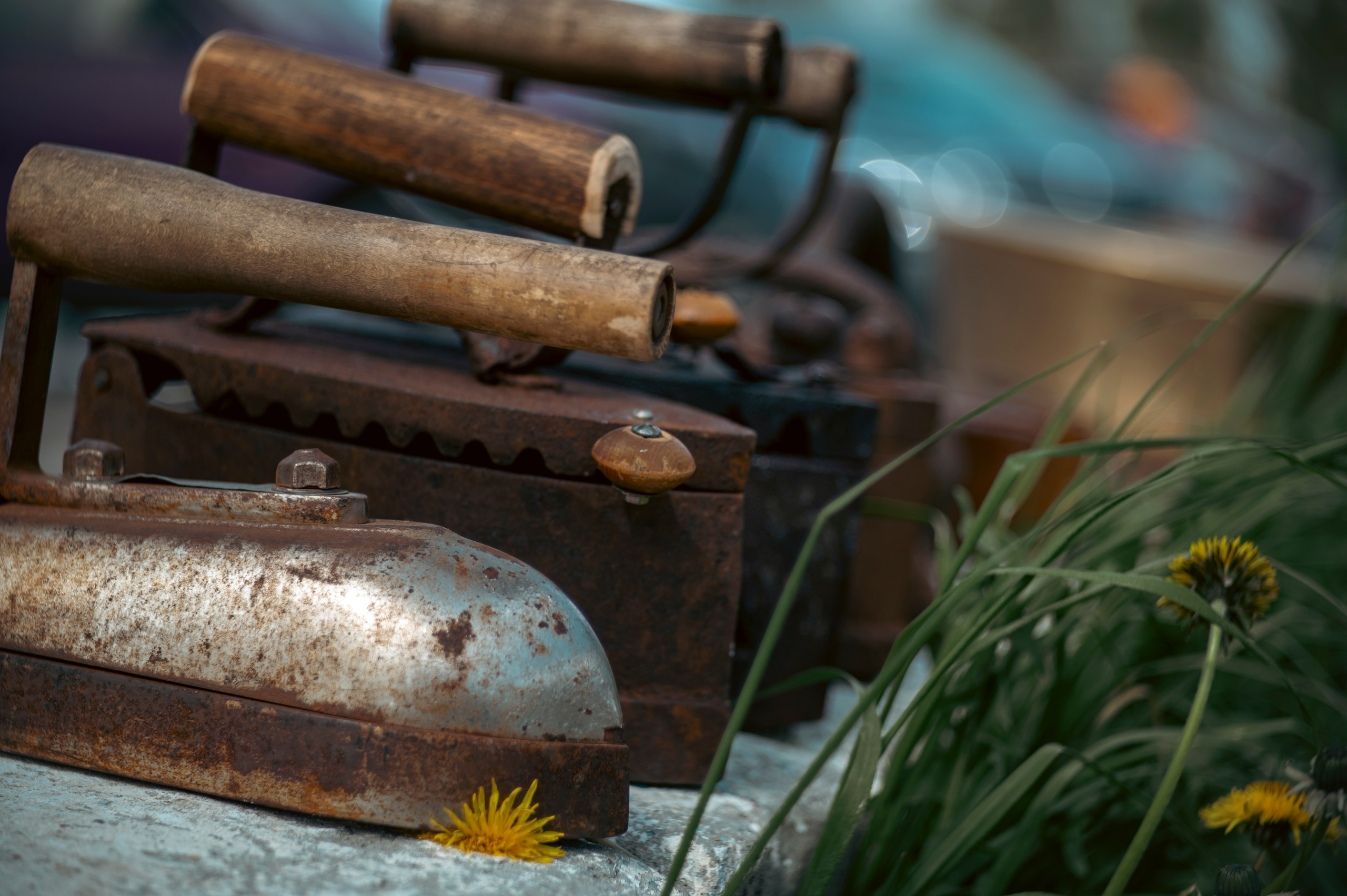 Муром. Май 2022. Фотограф Роман Адлер