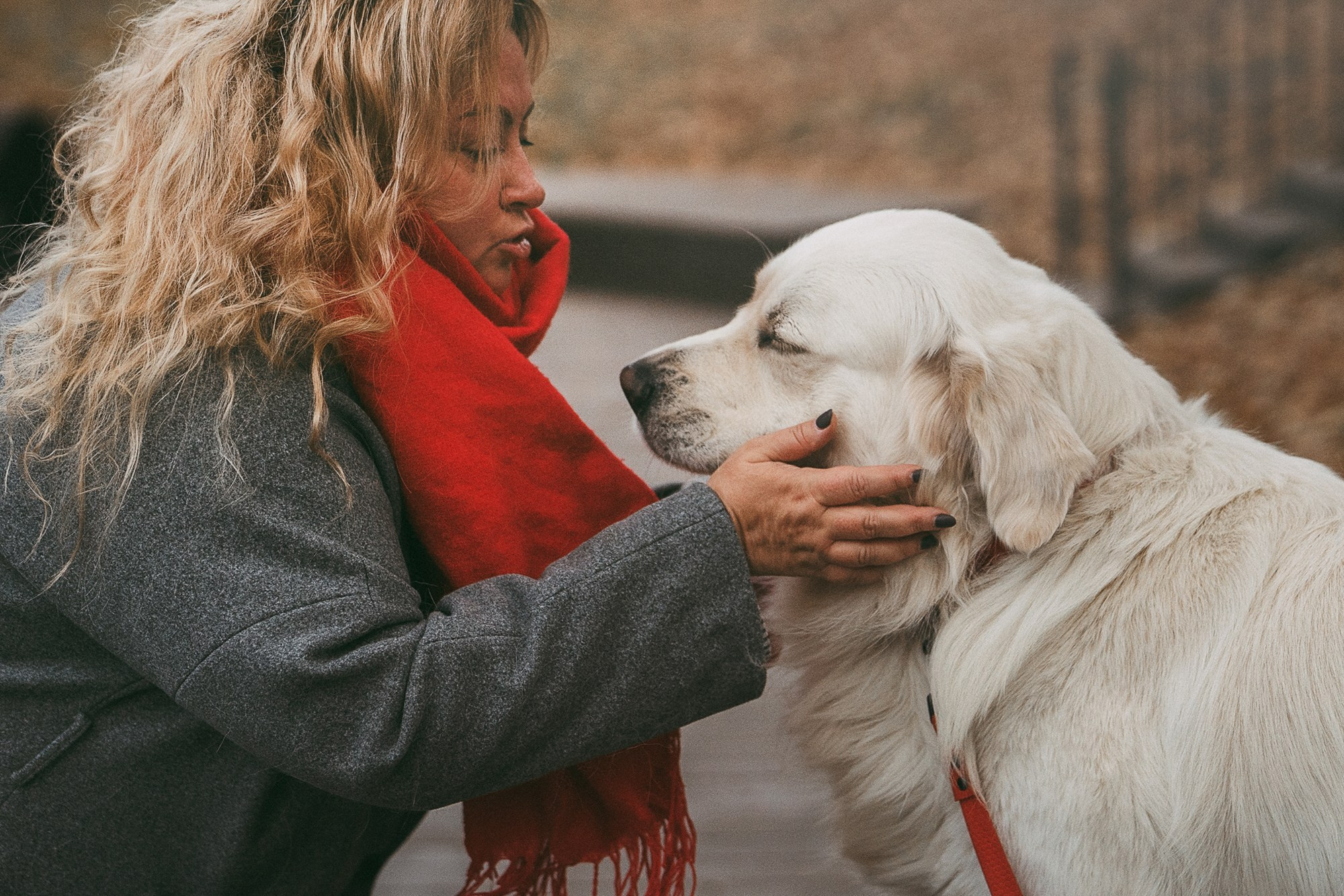 Лена и Мерлин. Фотограф анималист в Москве и Санкт-Петербурге Свиридова Анна