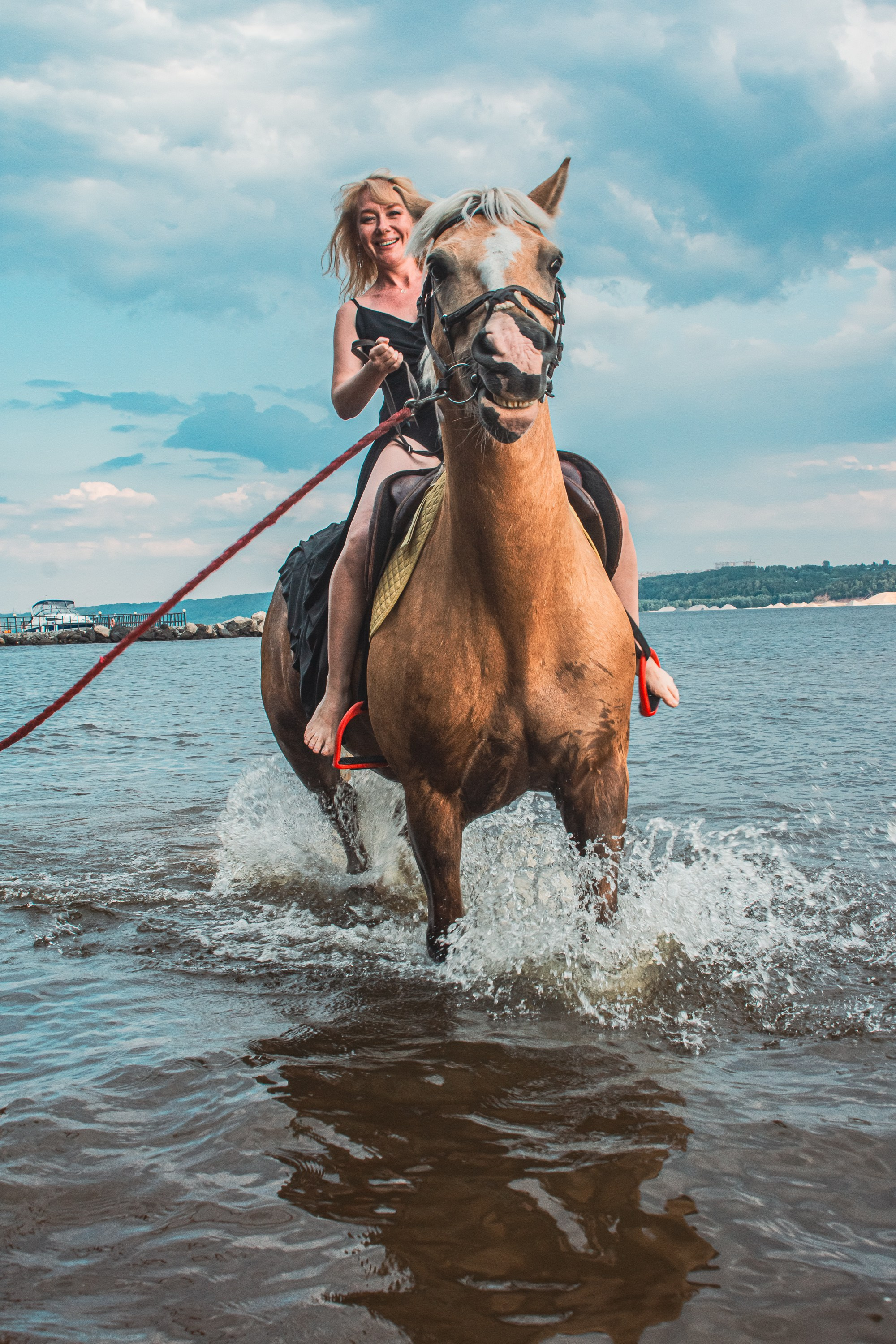Тематическая: «C лошадью». Разноплановый фотограф в Москве