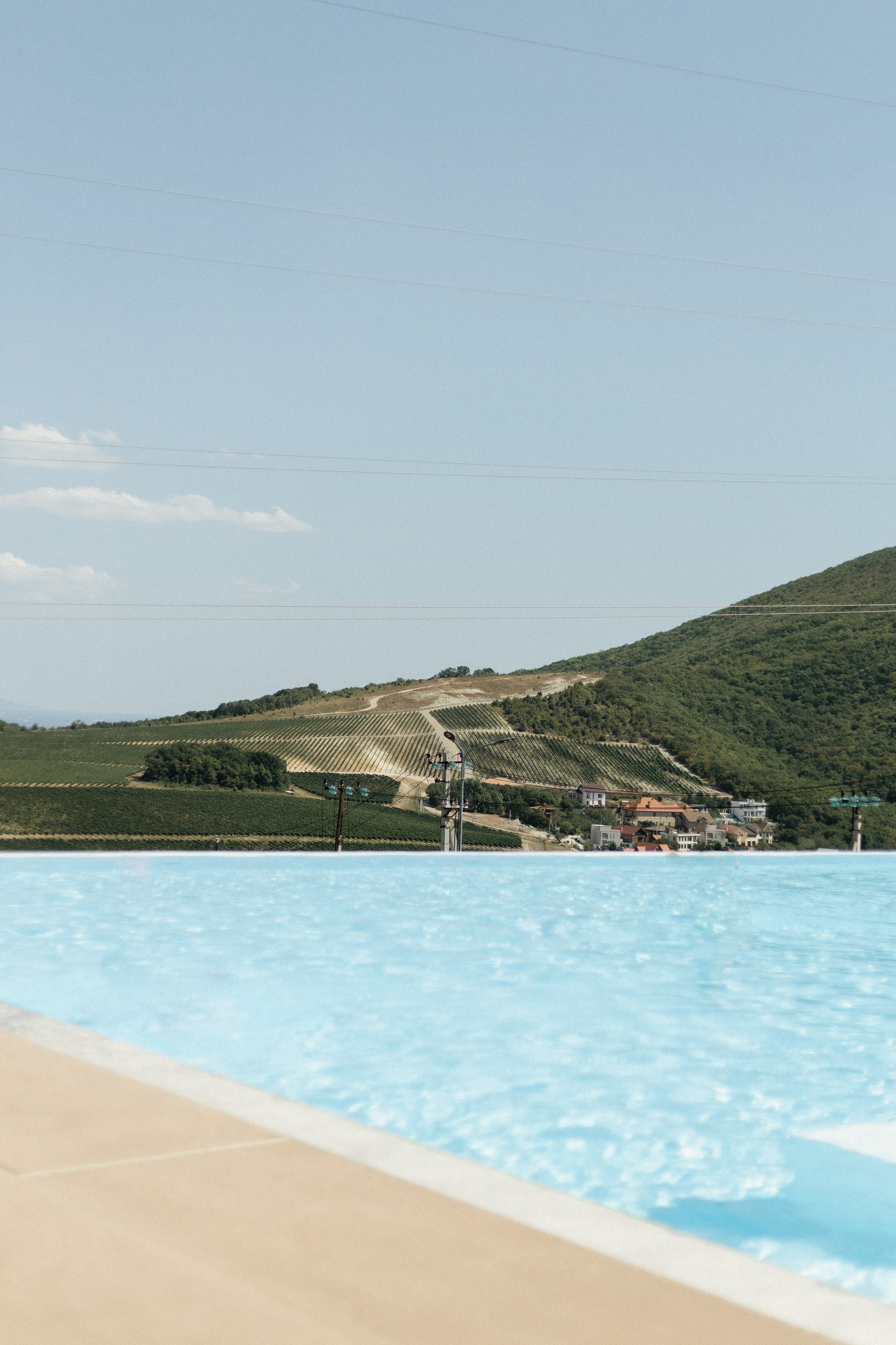 Даниил и Ксения. Алёна Наумова — профессиональный организатор свадеб и мероприятий в Краснодарском крае и на побережье