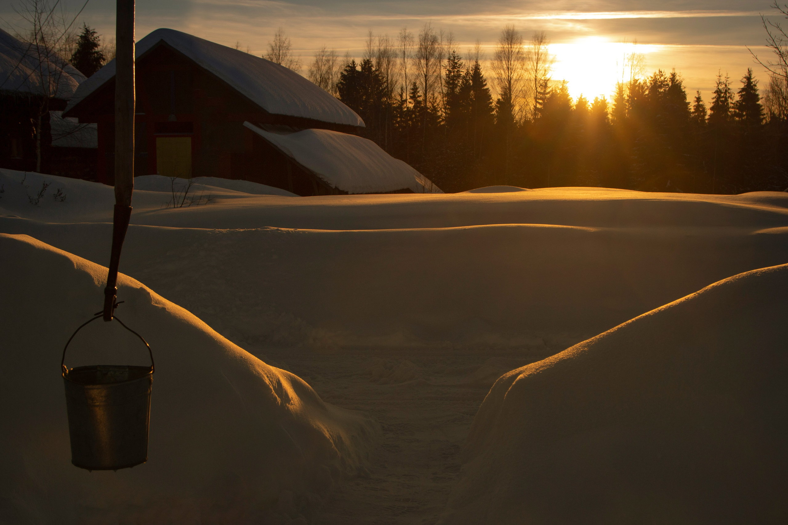 Фото. Фотограф Лагутин Анатолий