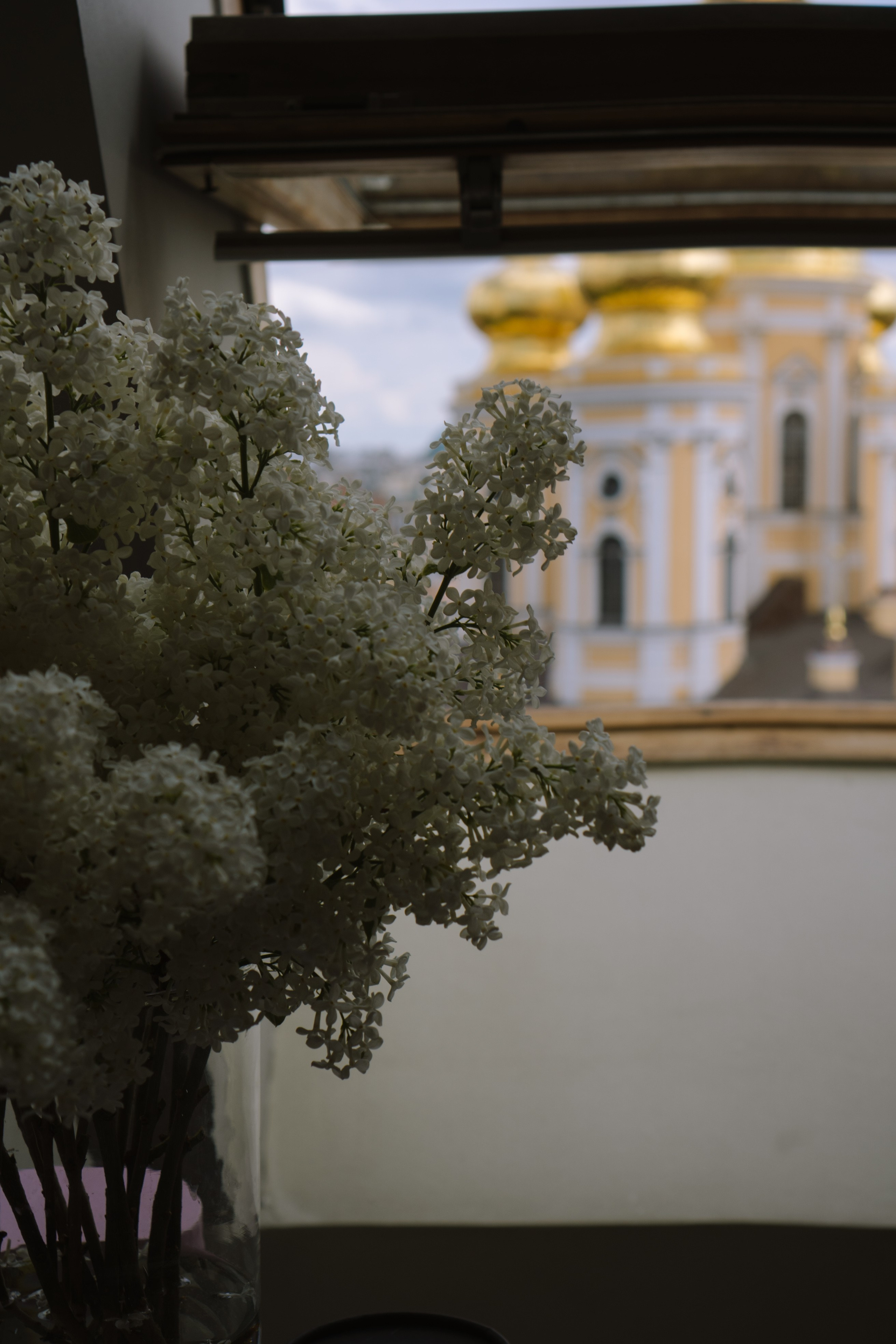СВАДЕБНЫЙ БАНКЕТ НА ВЛАДИМИРСКОЙ В САНКТ-ПЕТЕРБУРГЕ (КАМЕРНАЯ СВАДЬБА). Профессиональный фотограф, Санкт-Петербург — Виктория Богомолова